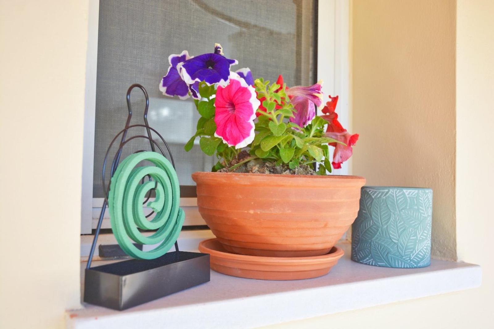 Kosmas Family House Apartment 2