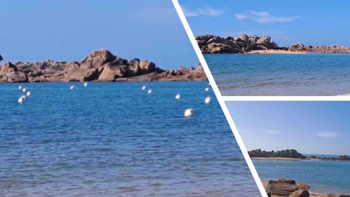 Trégastel Appartement 50 m de la plage