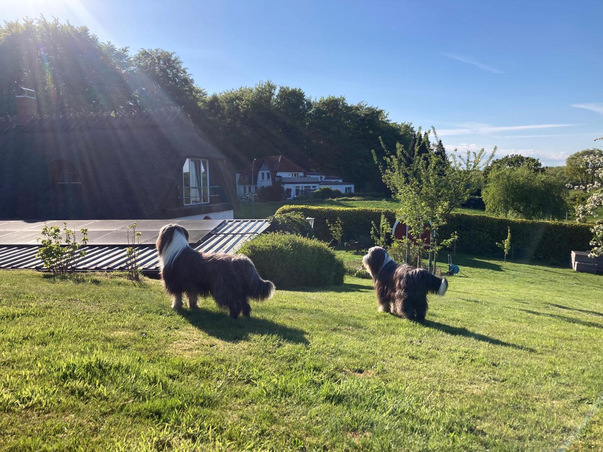 Ferienwohnung Piesch