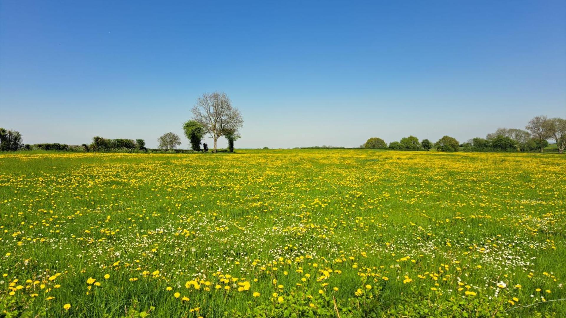 Chez Lisa avec jaccuzi