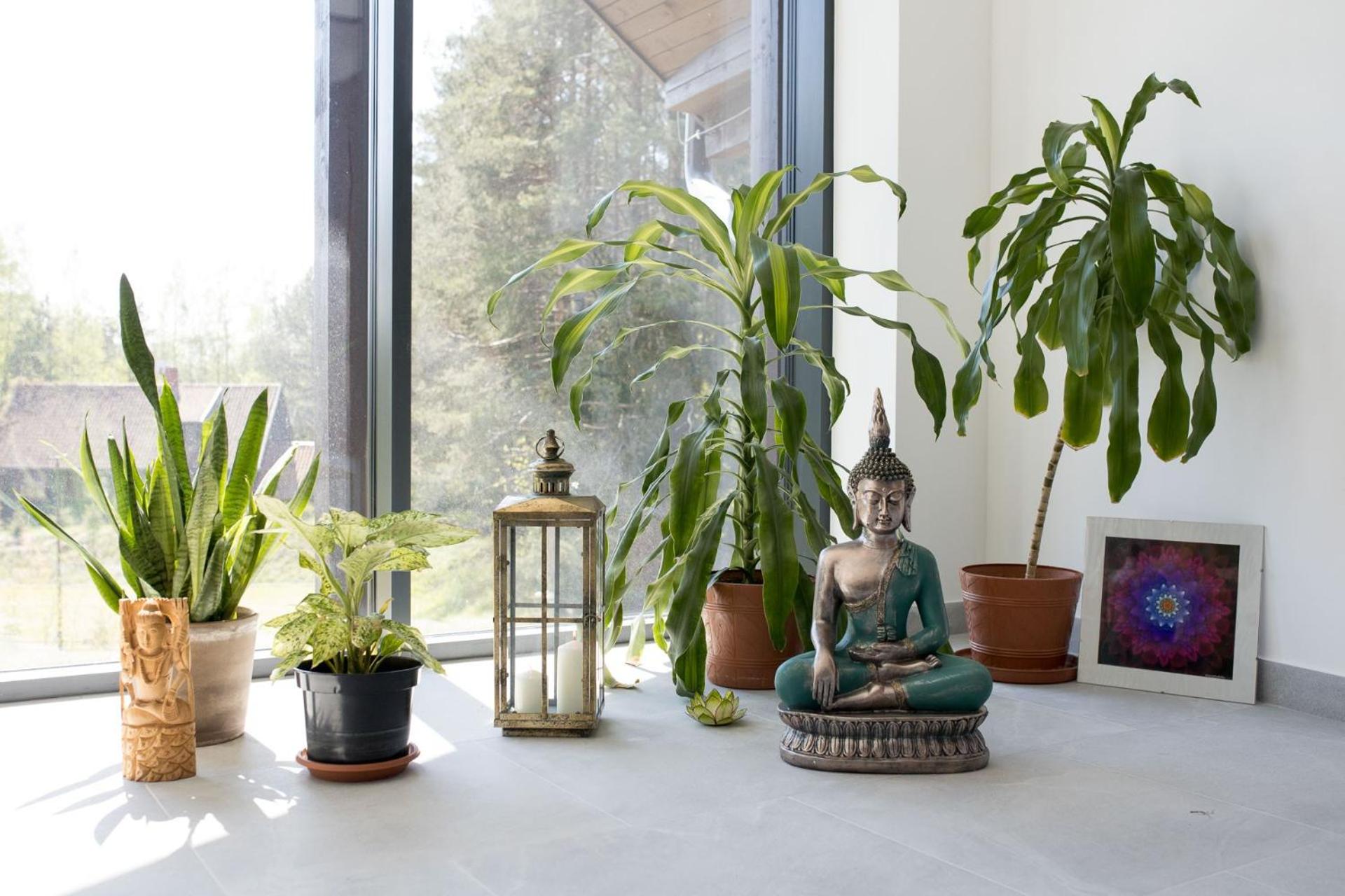 Apartament Karwica Zapach Lasu Naturalne SPA, klimatoterapia, basen, sauna A02