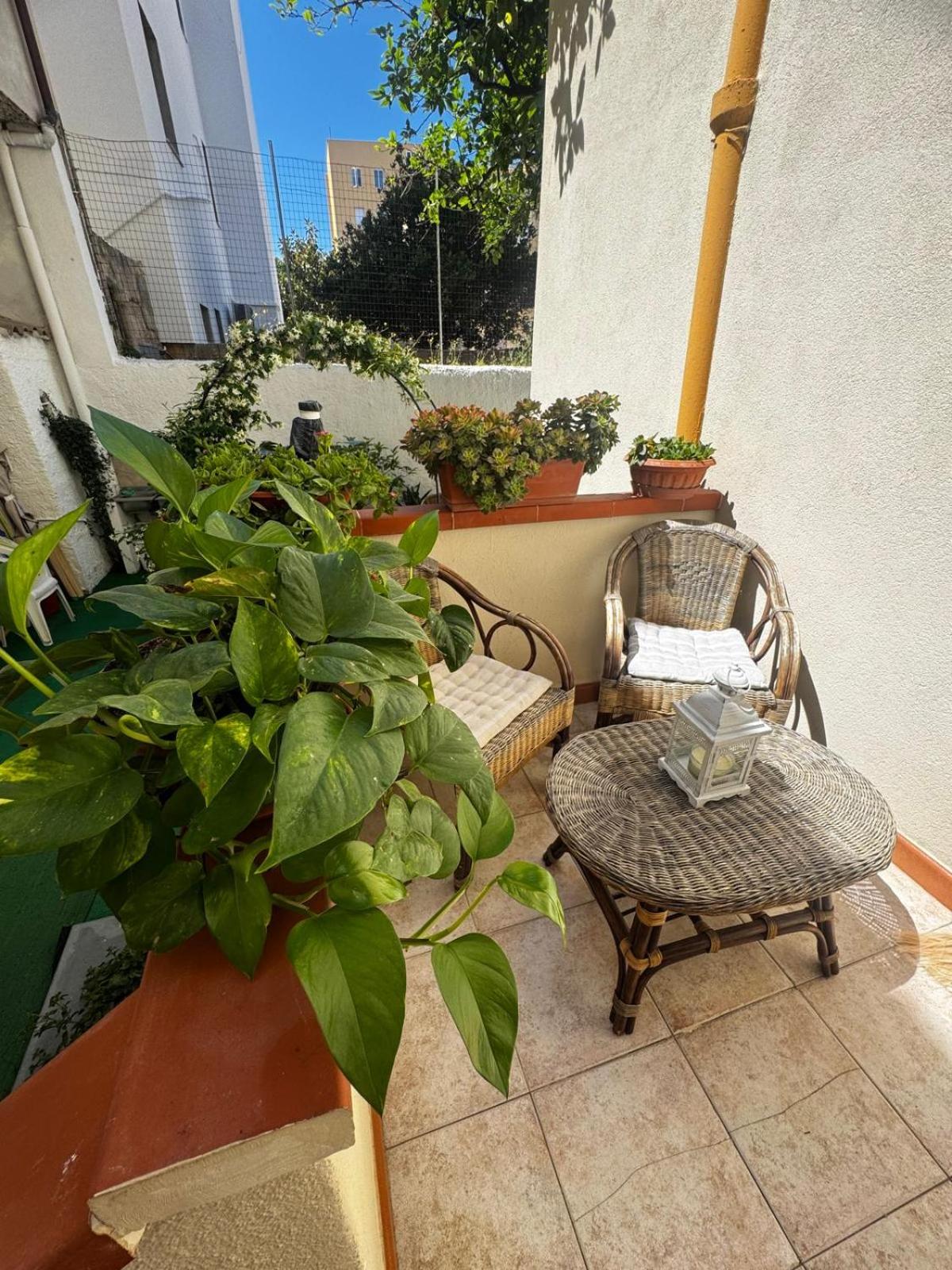 Flowered House with garden