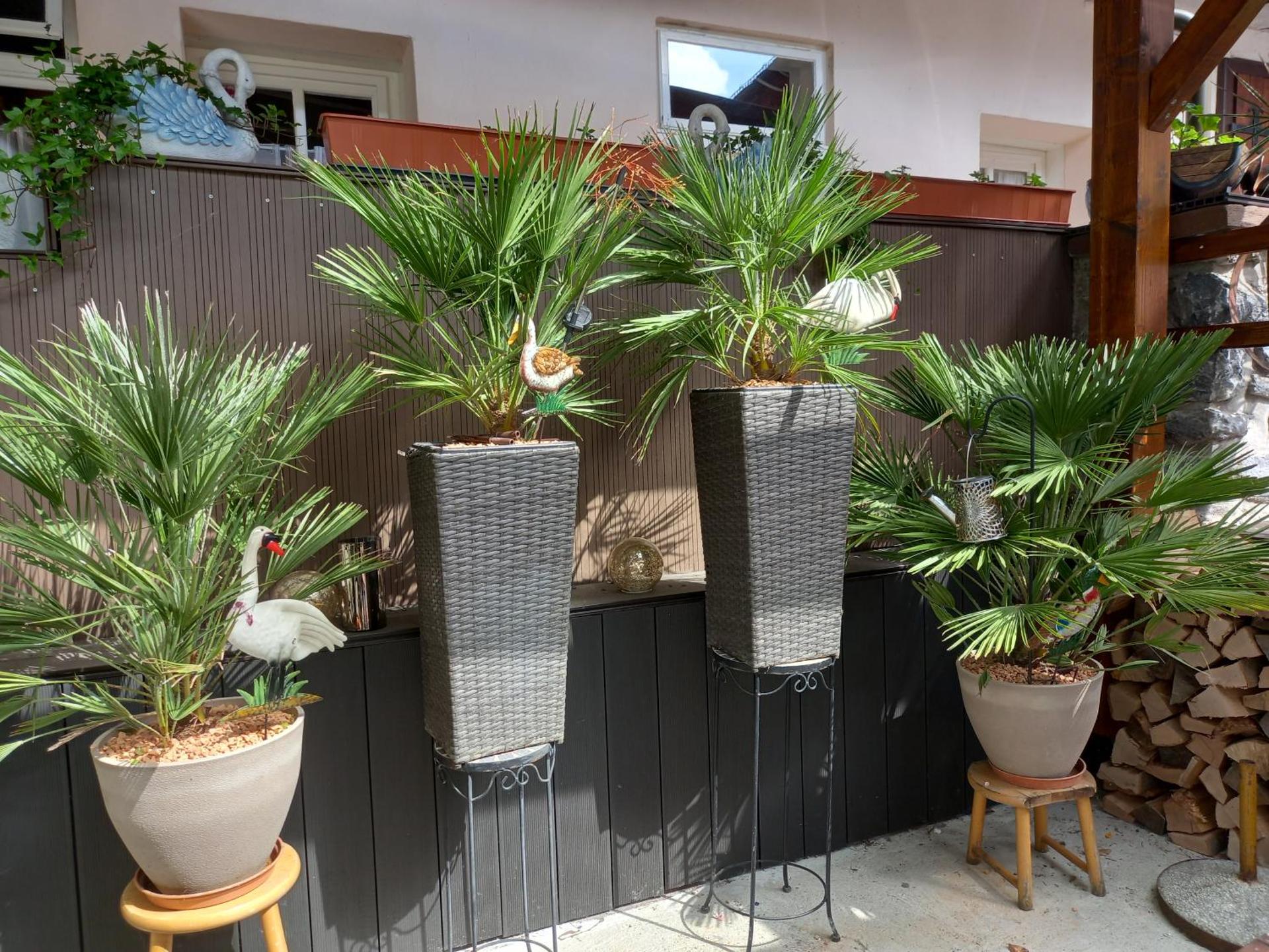 Gästehaus-Pension Familie Dwars