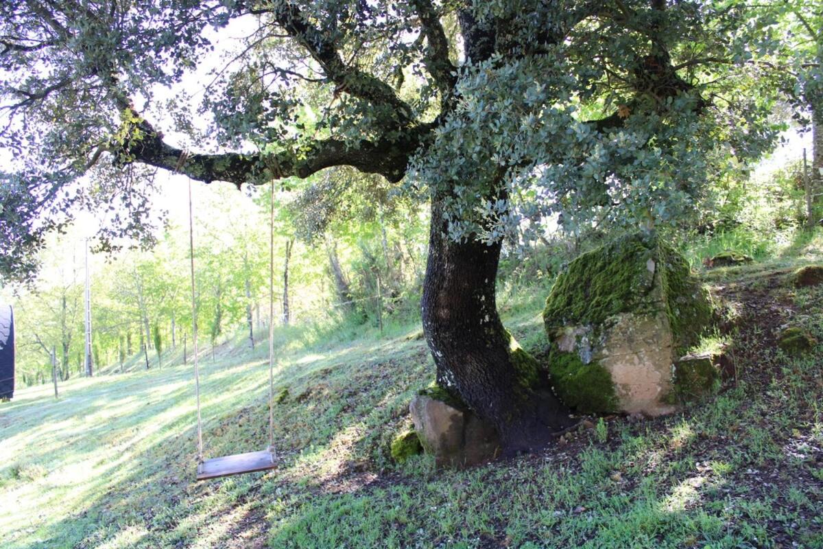 Quinta da Devesa -B2