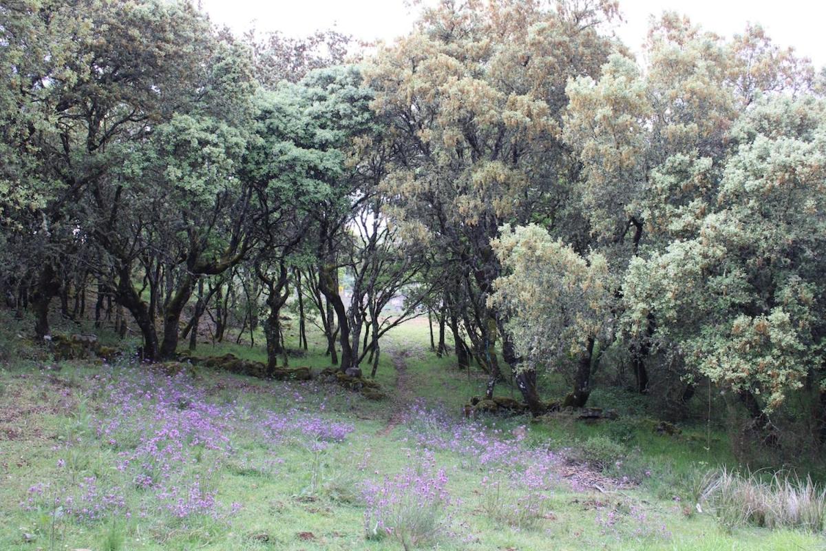 Quinta da Devesa -B2