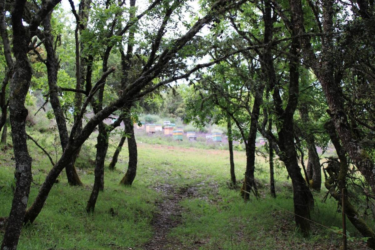 Quinta da Devesa -B2