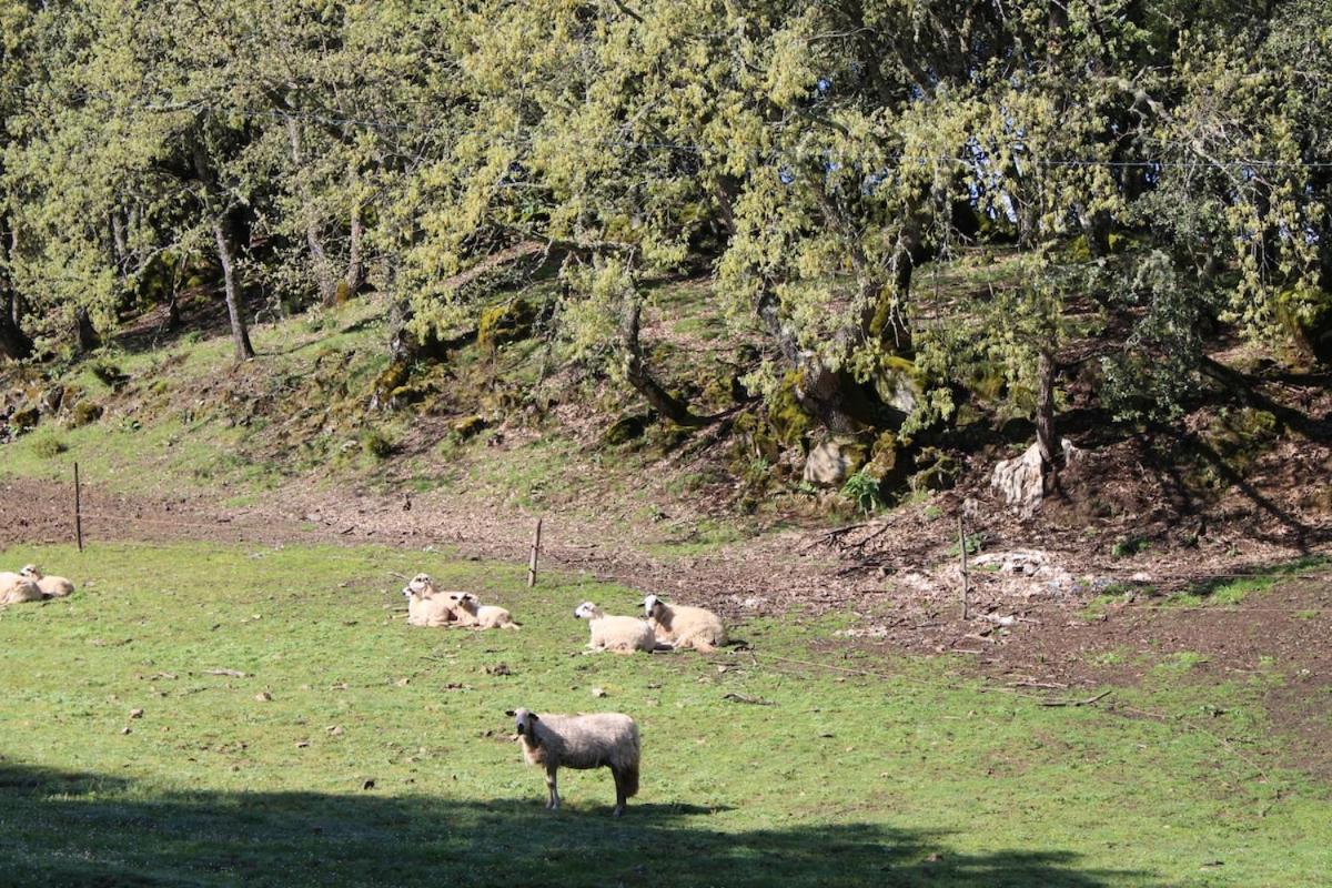 Quinta da Devesa -B2