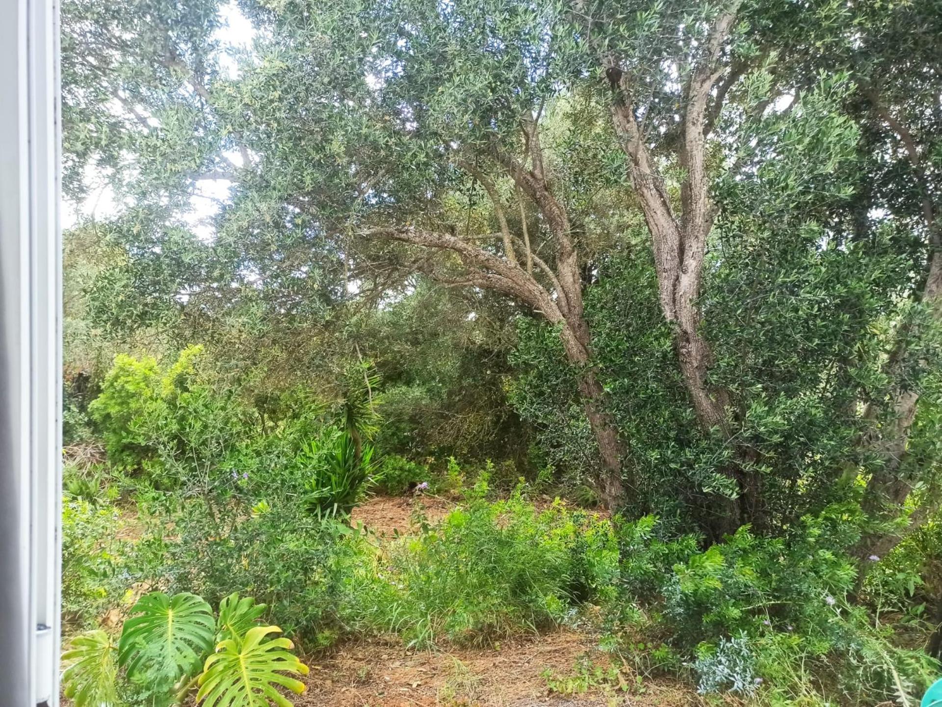 Alojamento Casa Maria