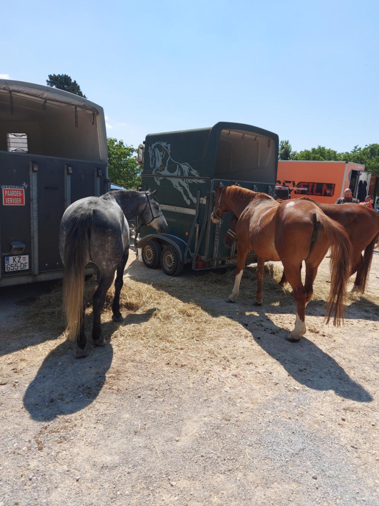 Apartment Fila i Jure