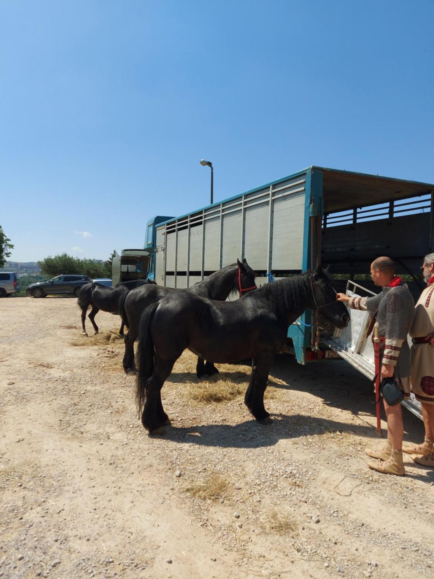 Apartment Fila i Jure