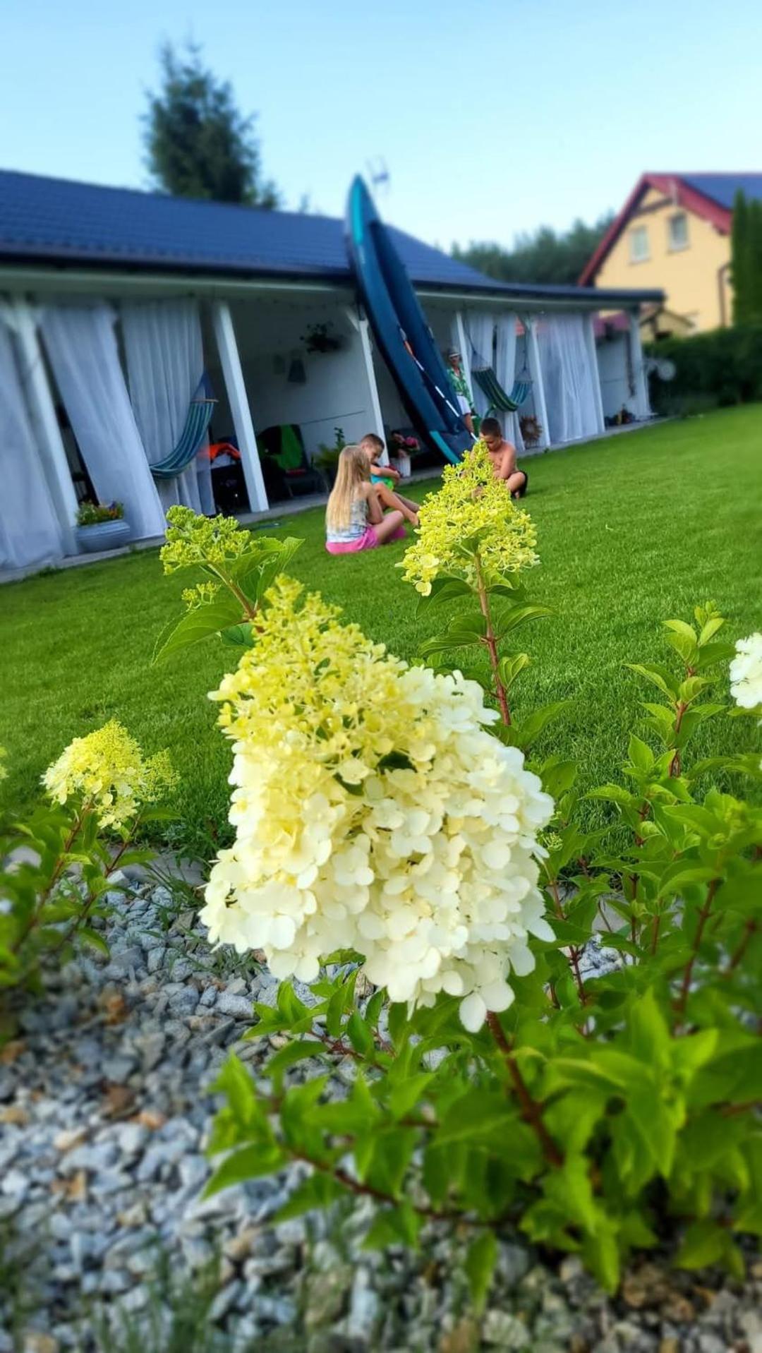 Apartamenty Carpe Diem