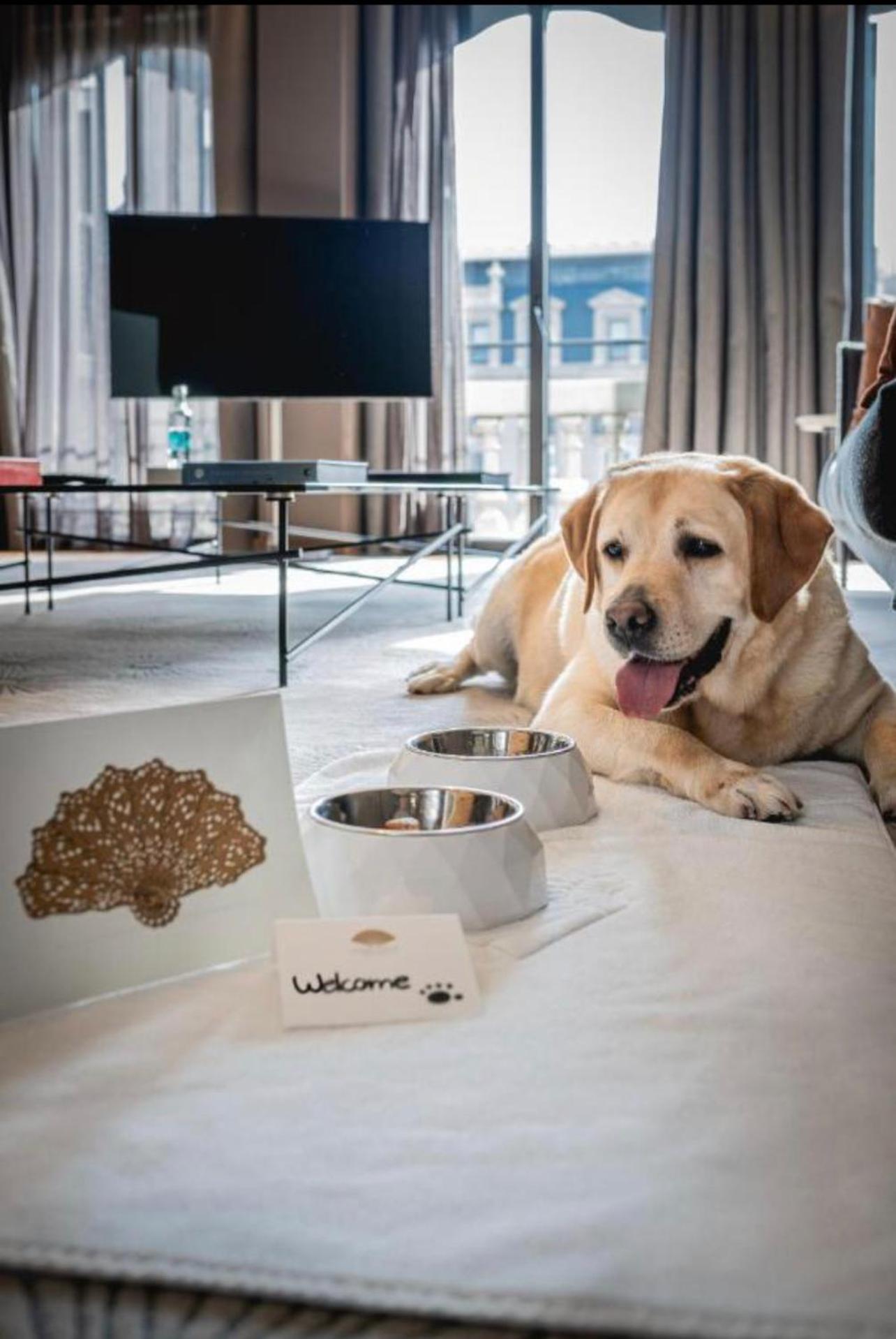 Executive Suite Top Location & Fast Free Wi-Fi & AC & Parking