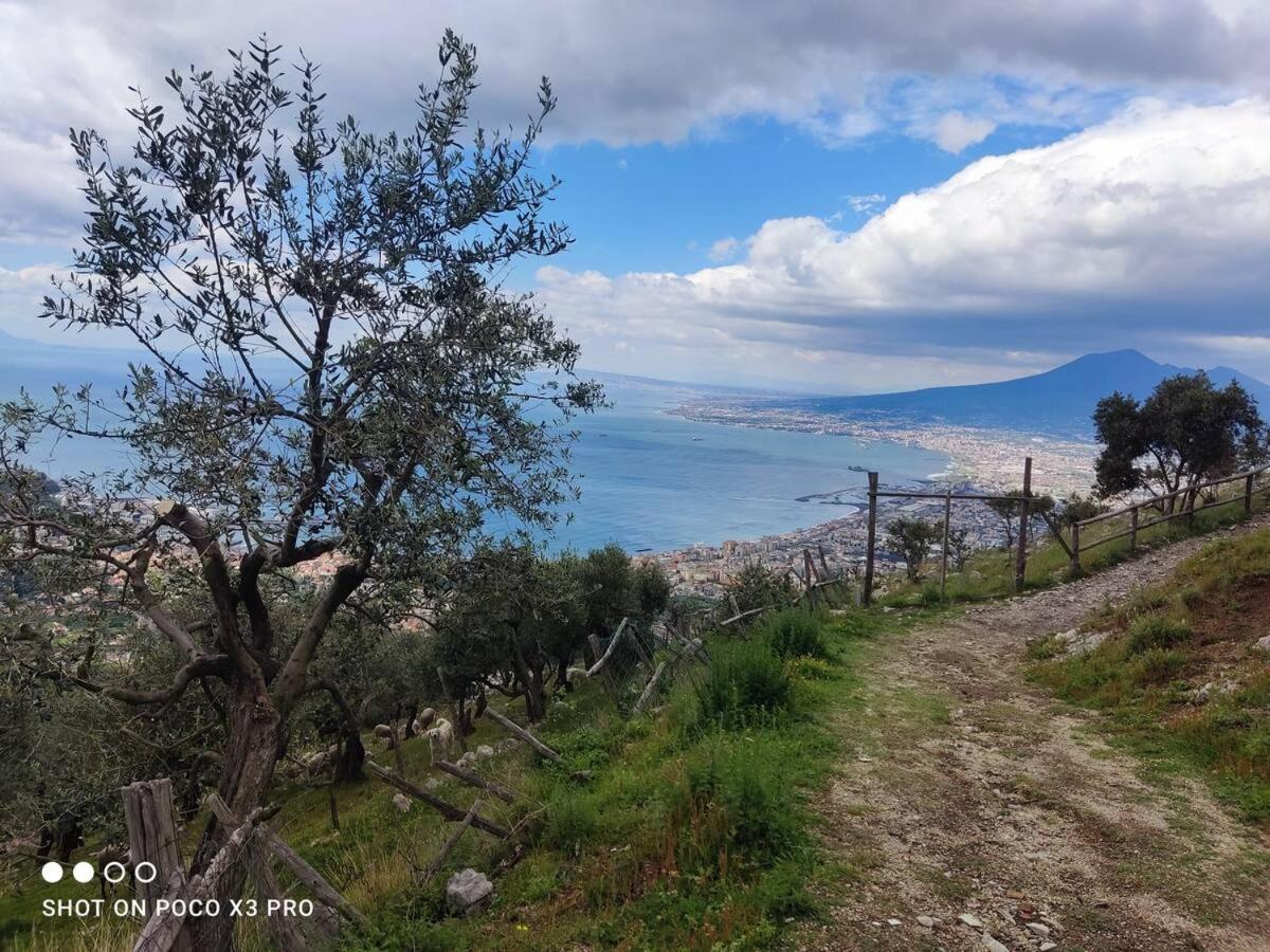 Residenza Regina Margherita, Apud Montes