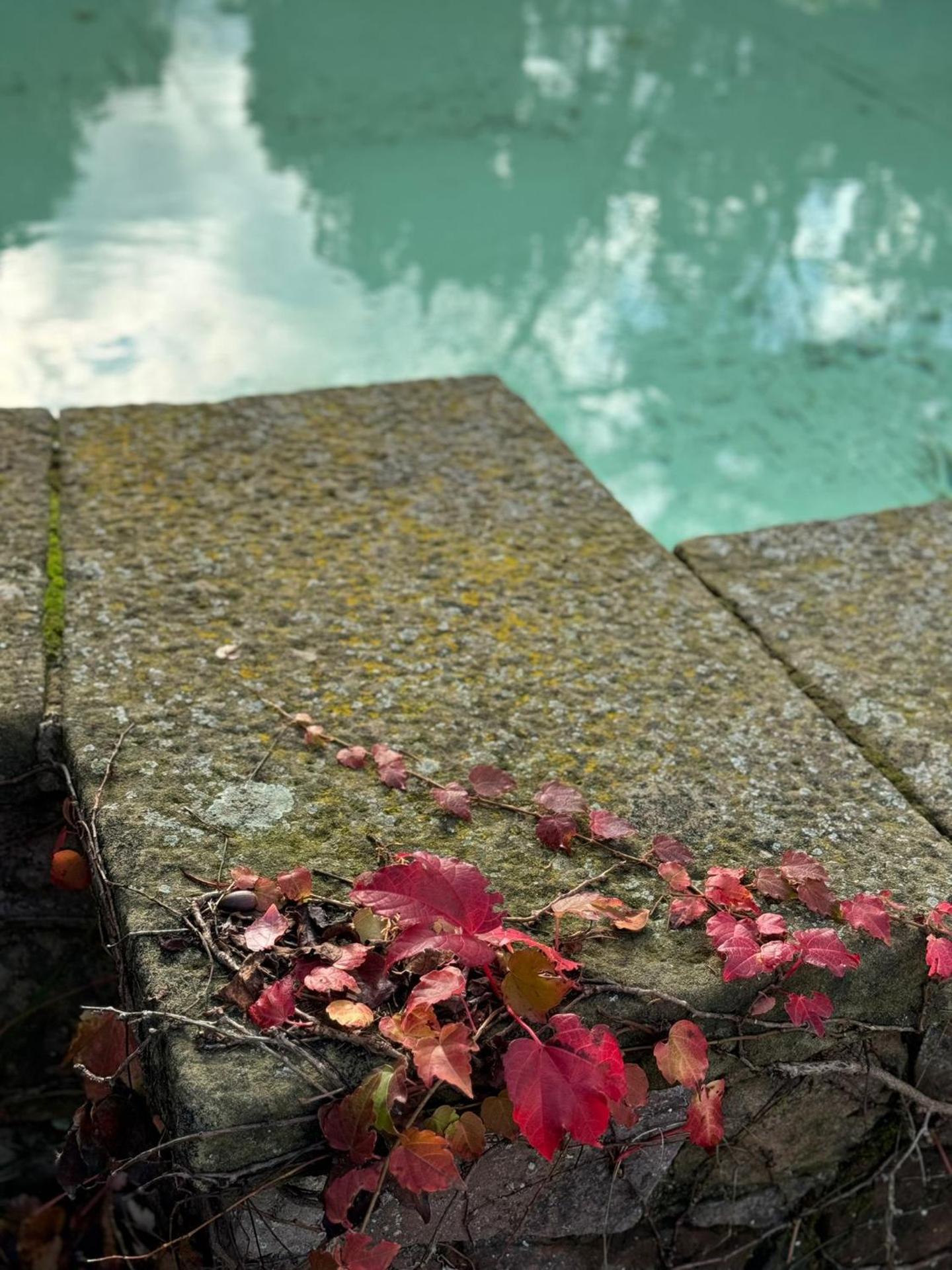 Hotel restaurant Xalet la Coromina