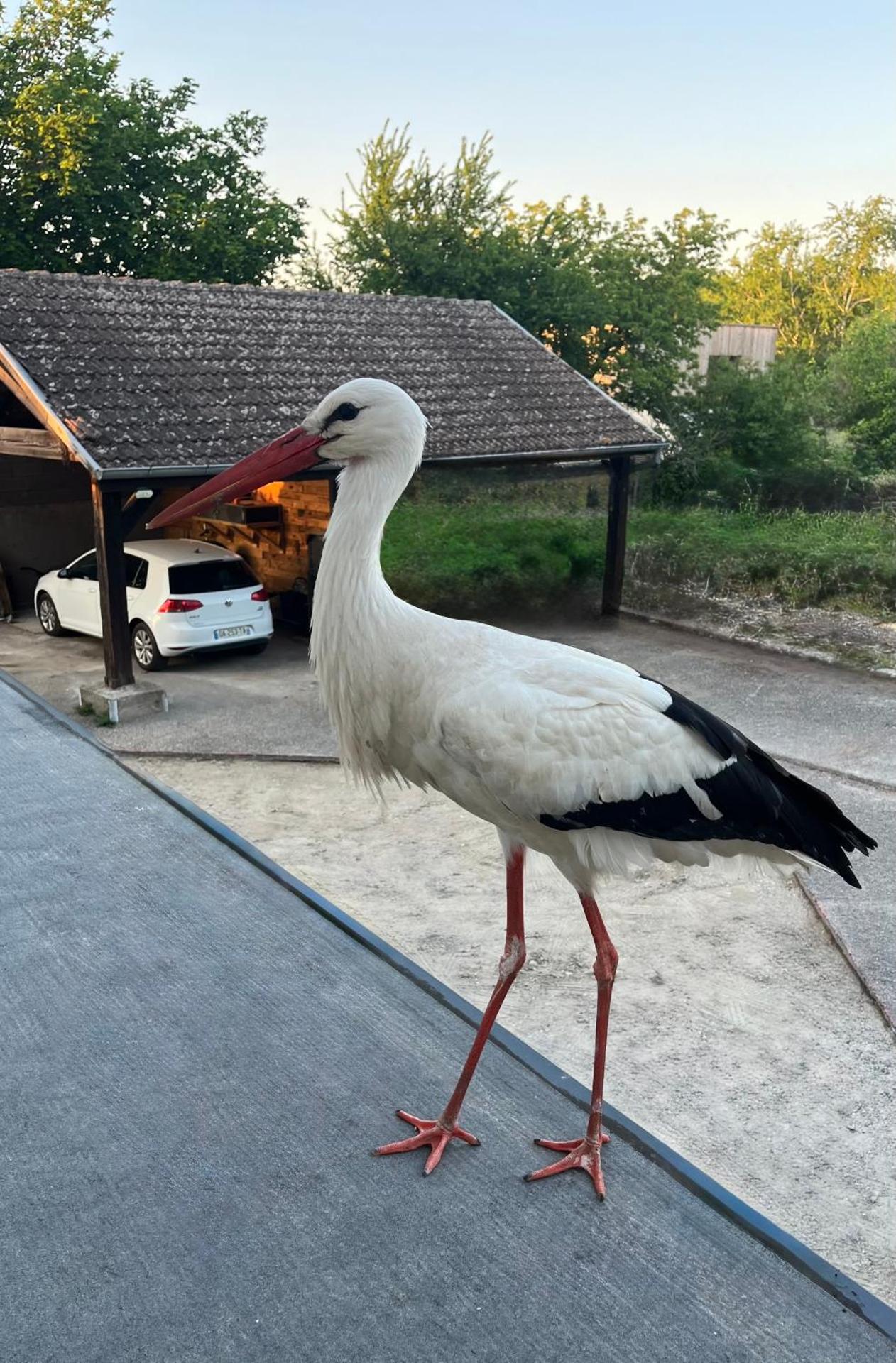 Gîte neuf en duplex tout confort