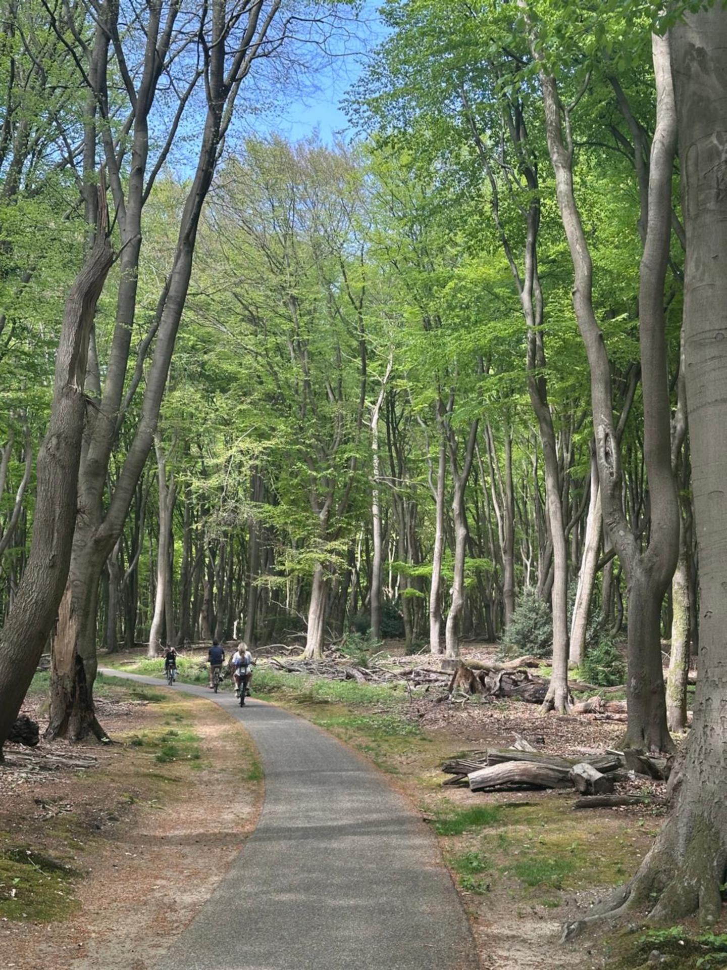Heerlijk chalet midden in de natuur