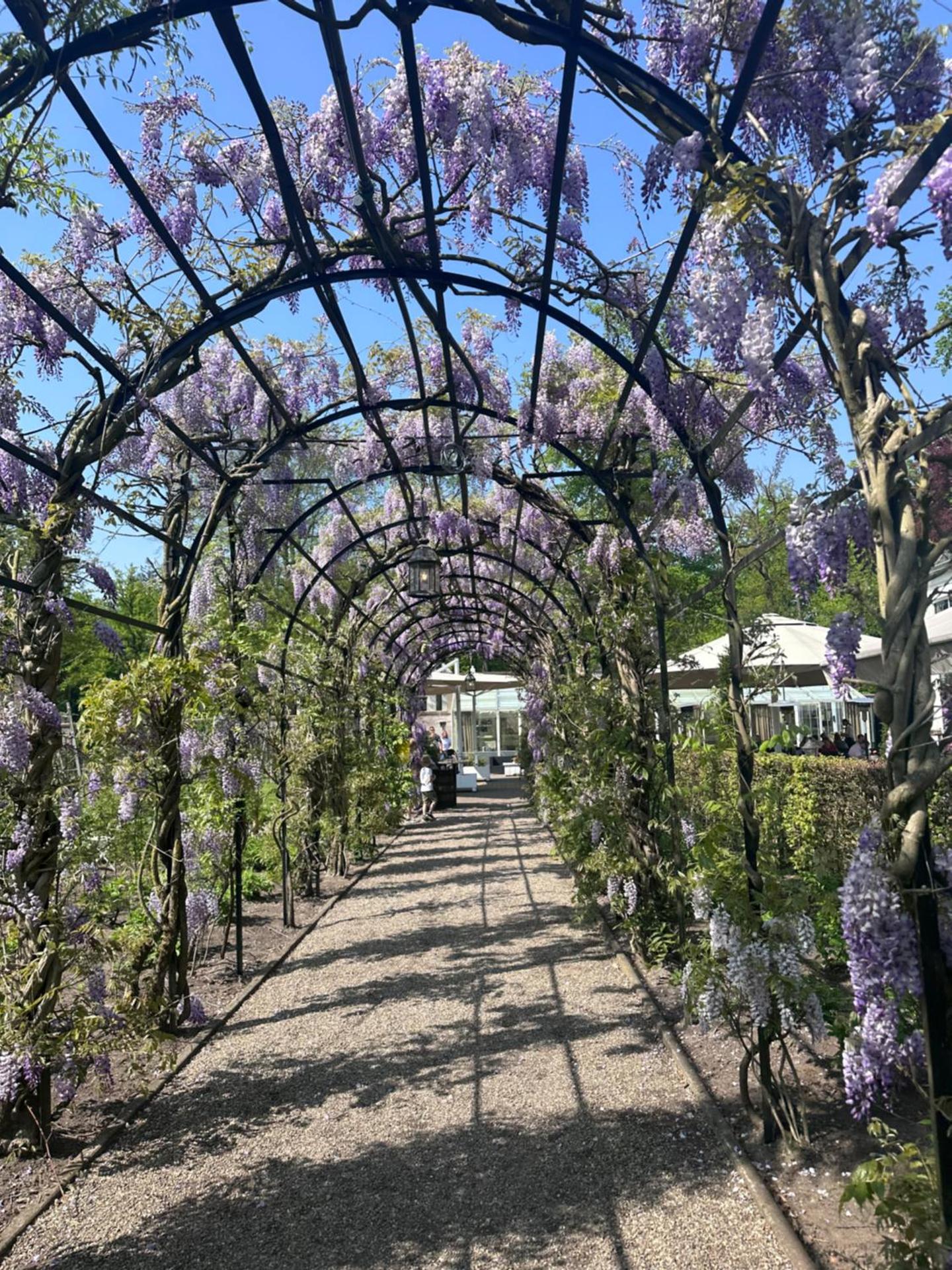 Heerlijk chalet midden in de natuur