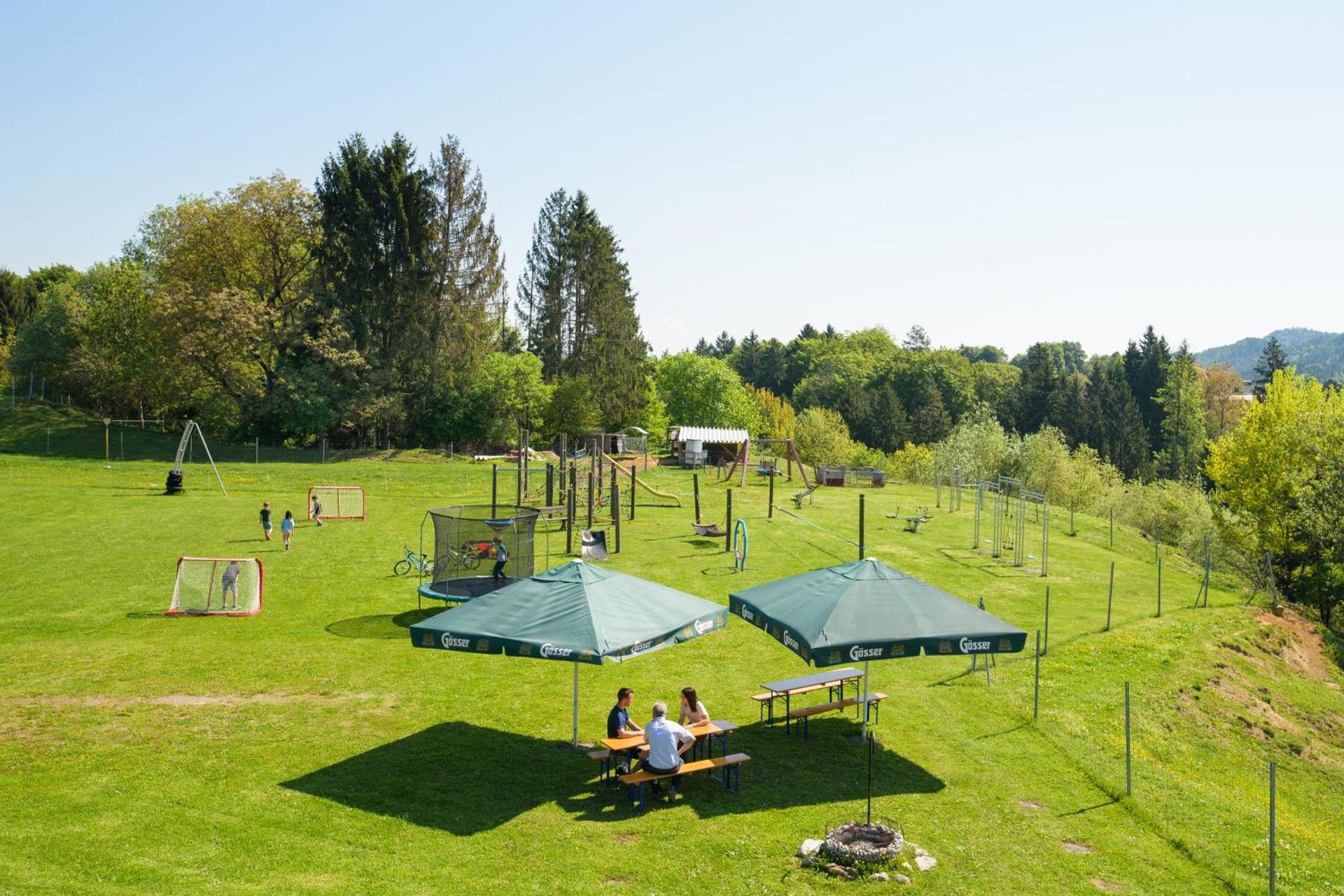 Appartement Haus Drobollach