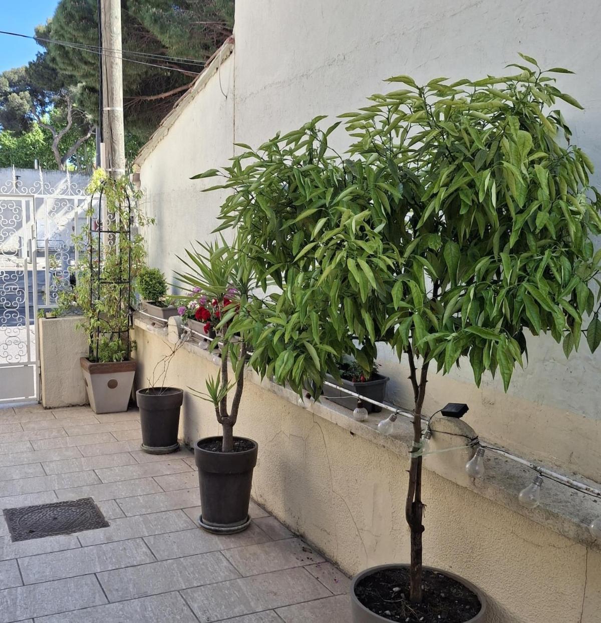 Mistral Appartements