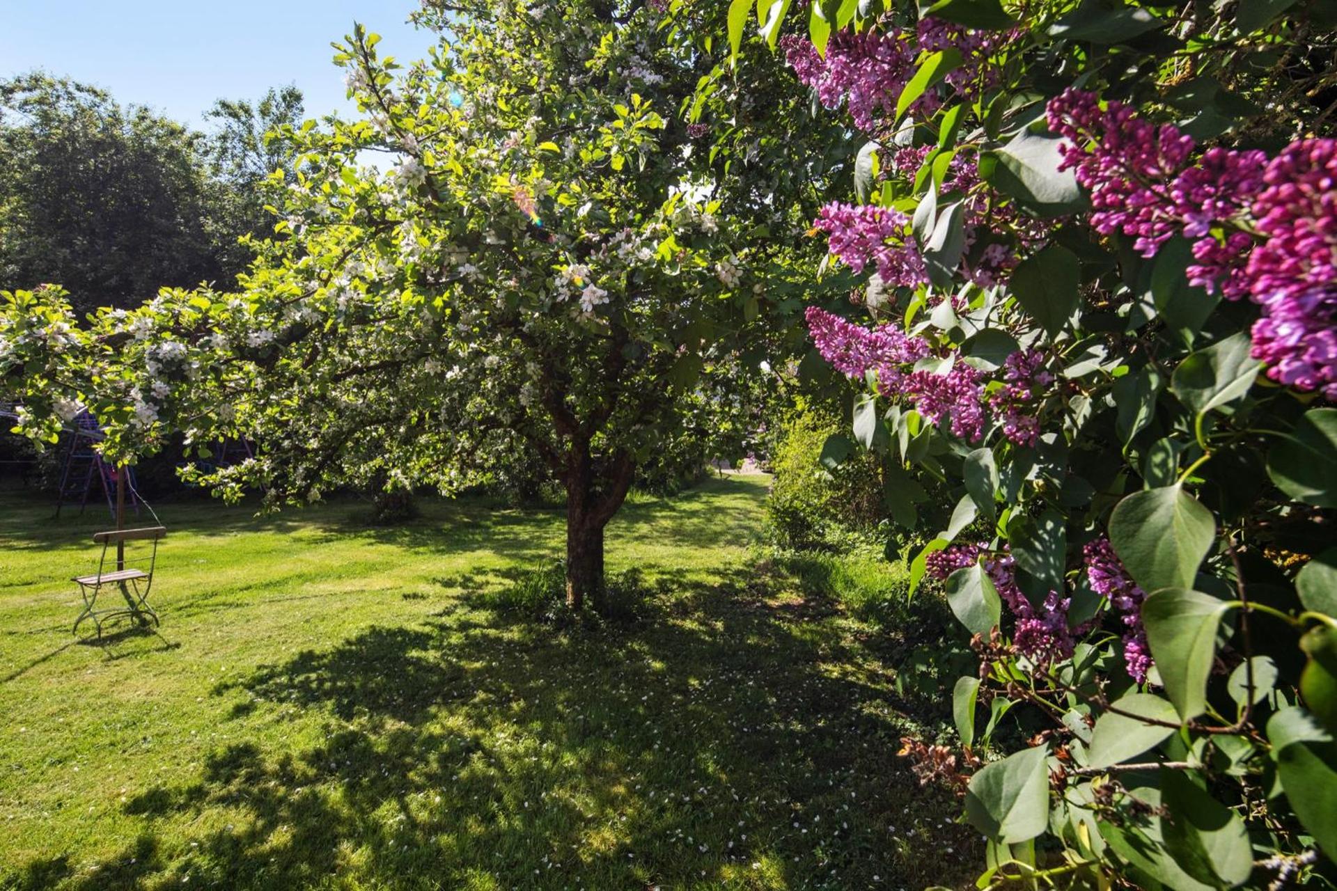 Ferienwohnungen große Albferien