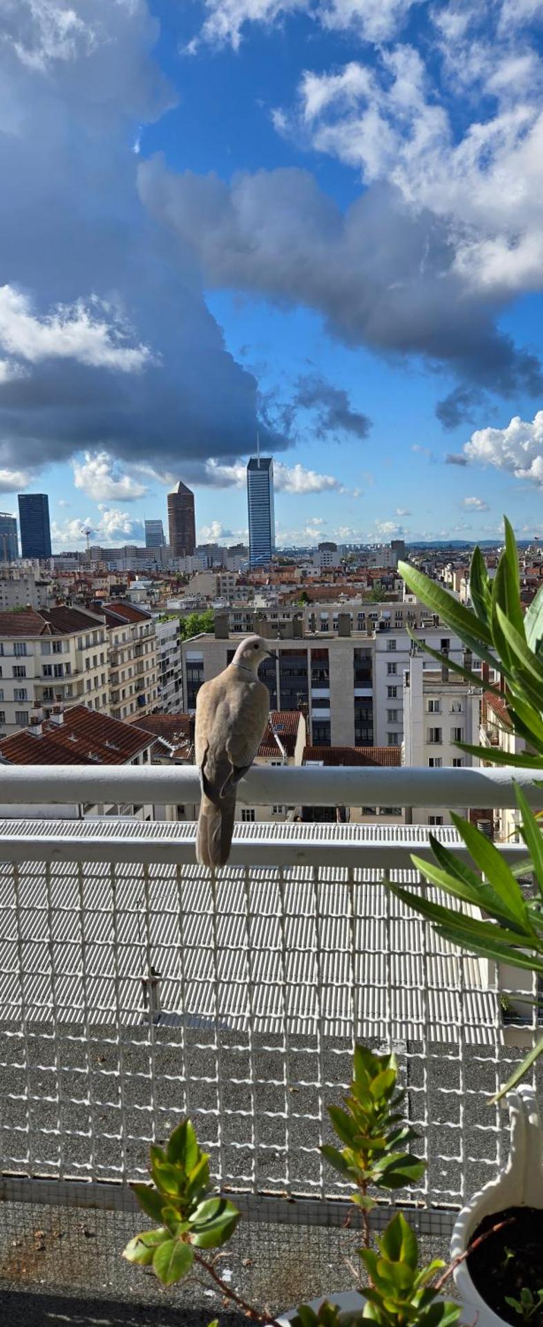 Apartment with Balcony