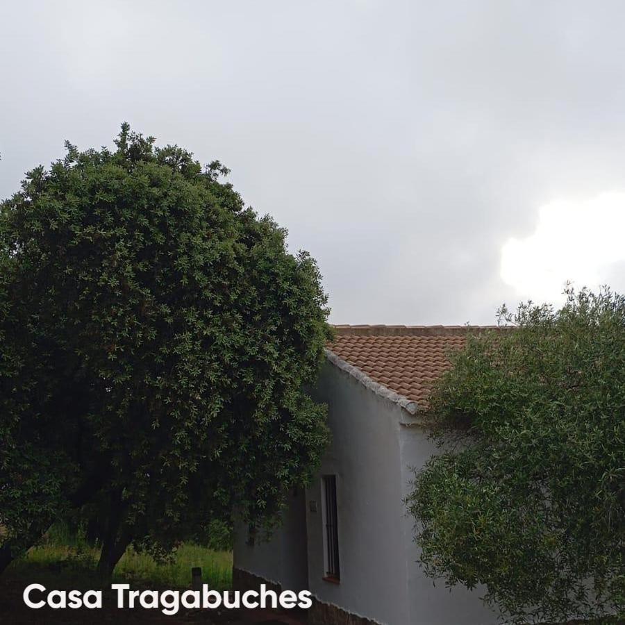 Casas Rurales Cortijo la Cañada