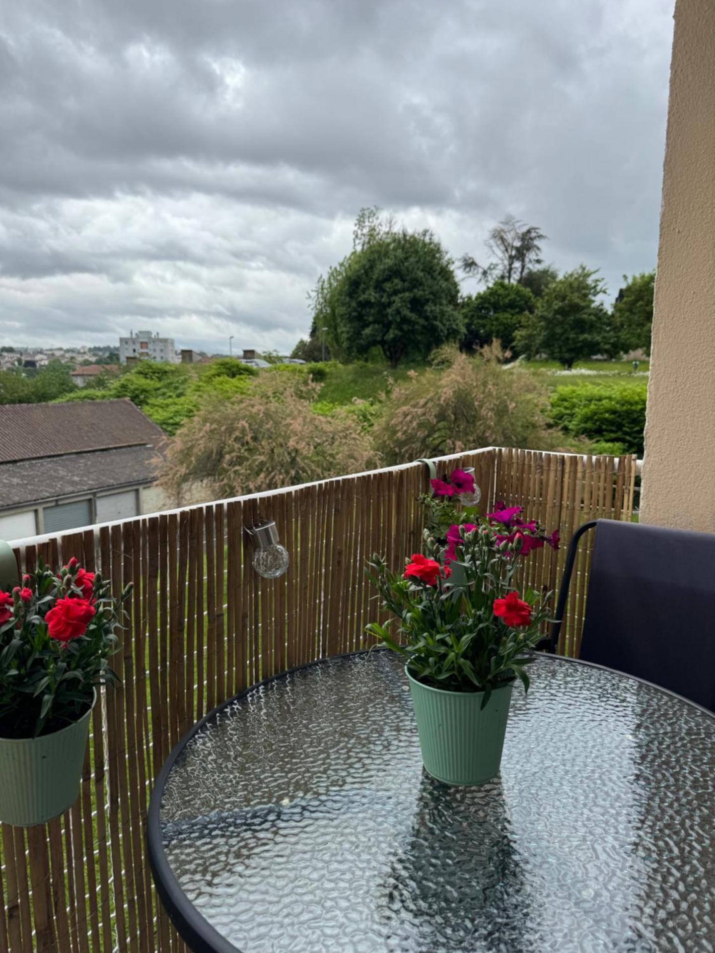 Appartement chaleureux et spacieux T3