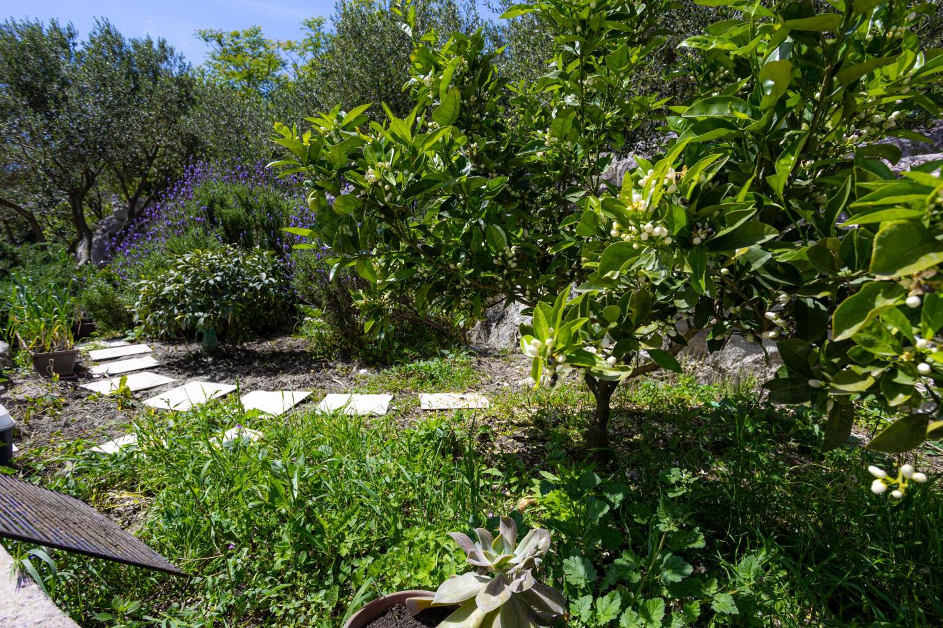 Apartment Skalin - Modern Comfort with a Local Touch