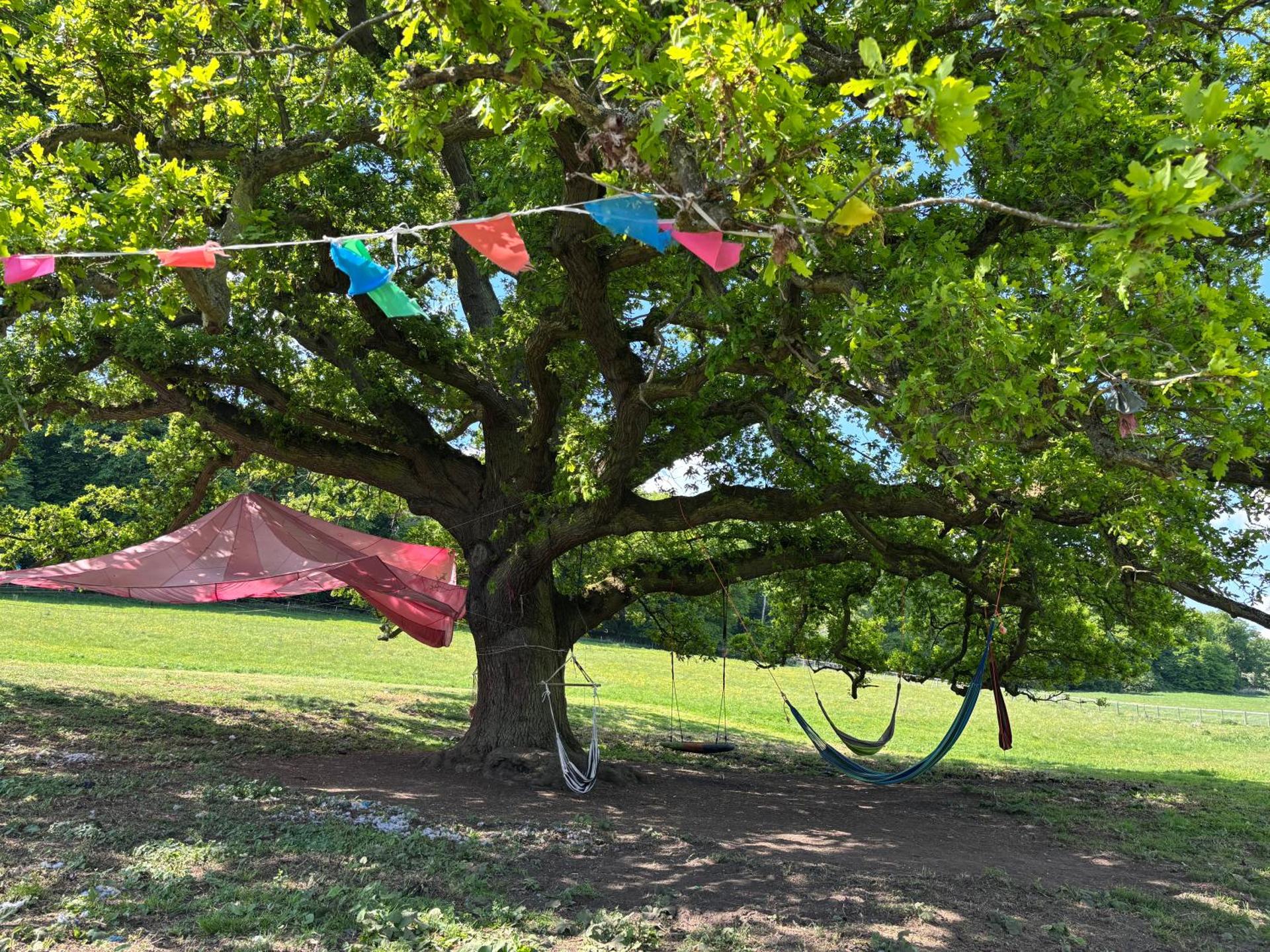 HERTFORD Farm yurt Tent Camping fire pit bbq pet friendly