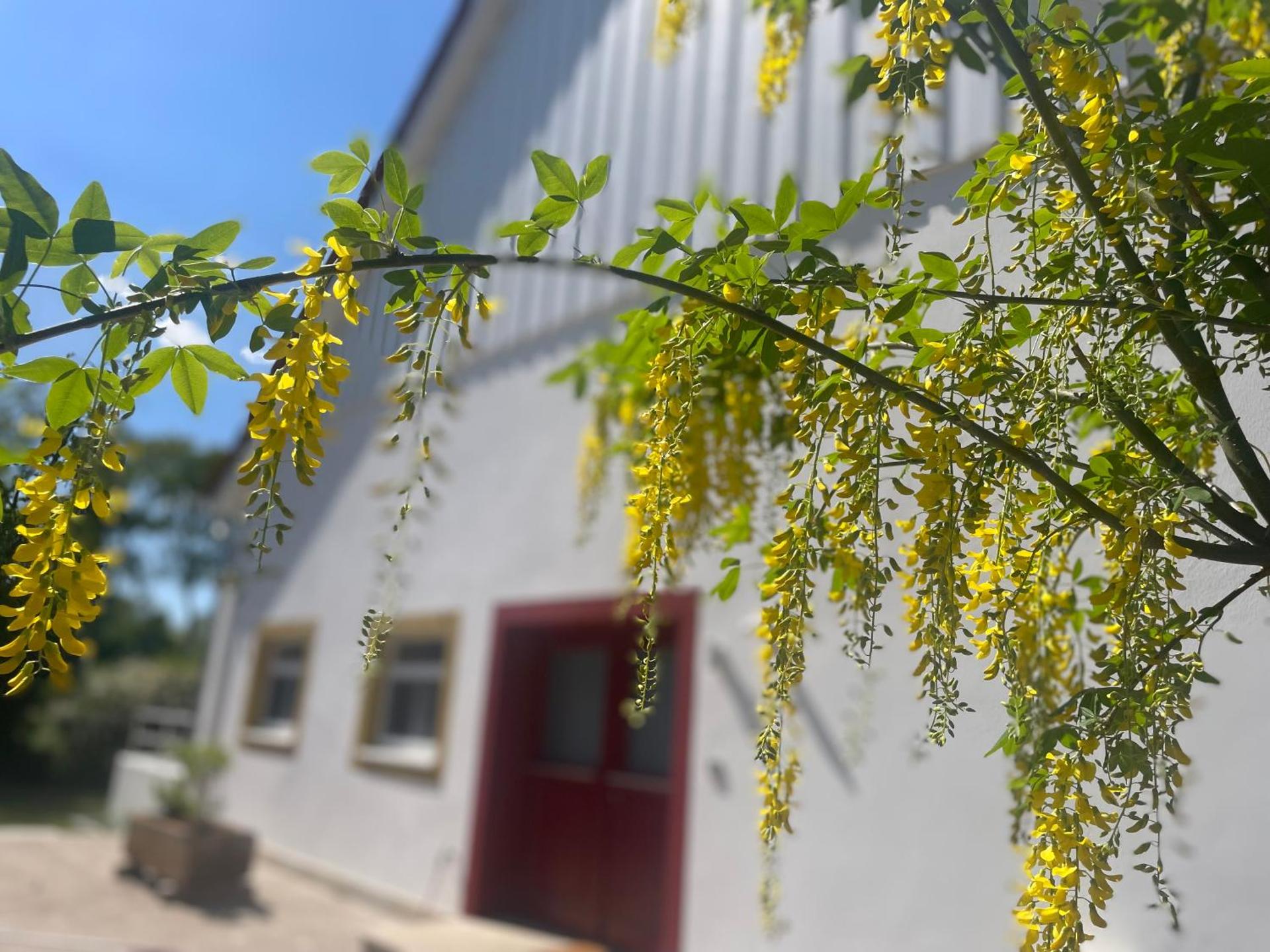 geräumige Wohnung mit Terrasse