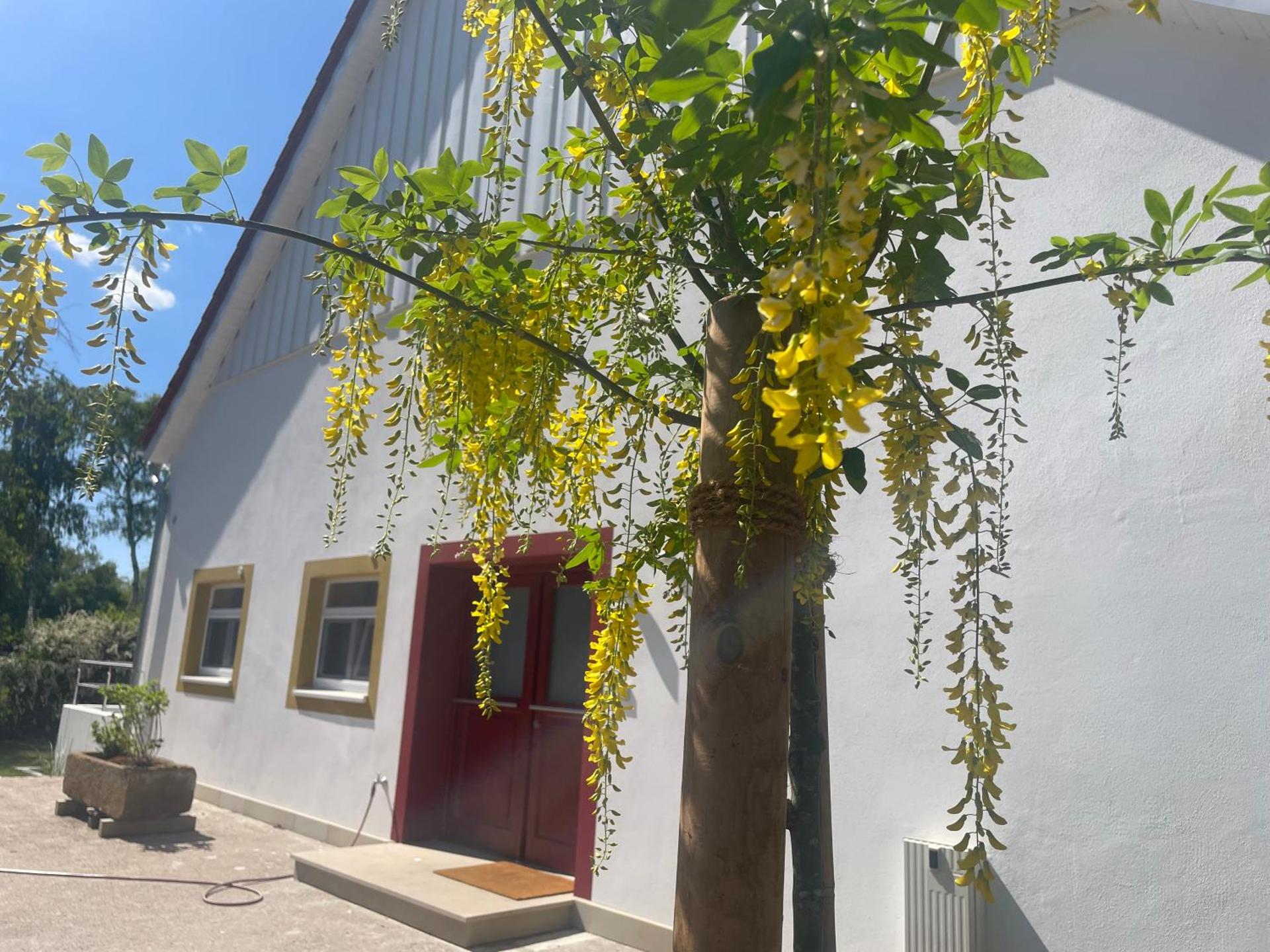 Appartement mit 2 Schlafzimmern und Terrasse