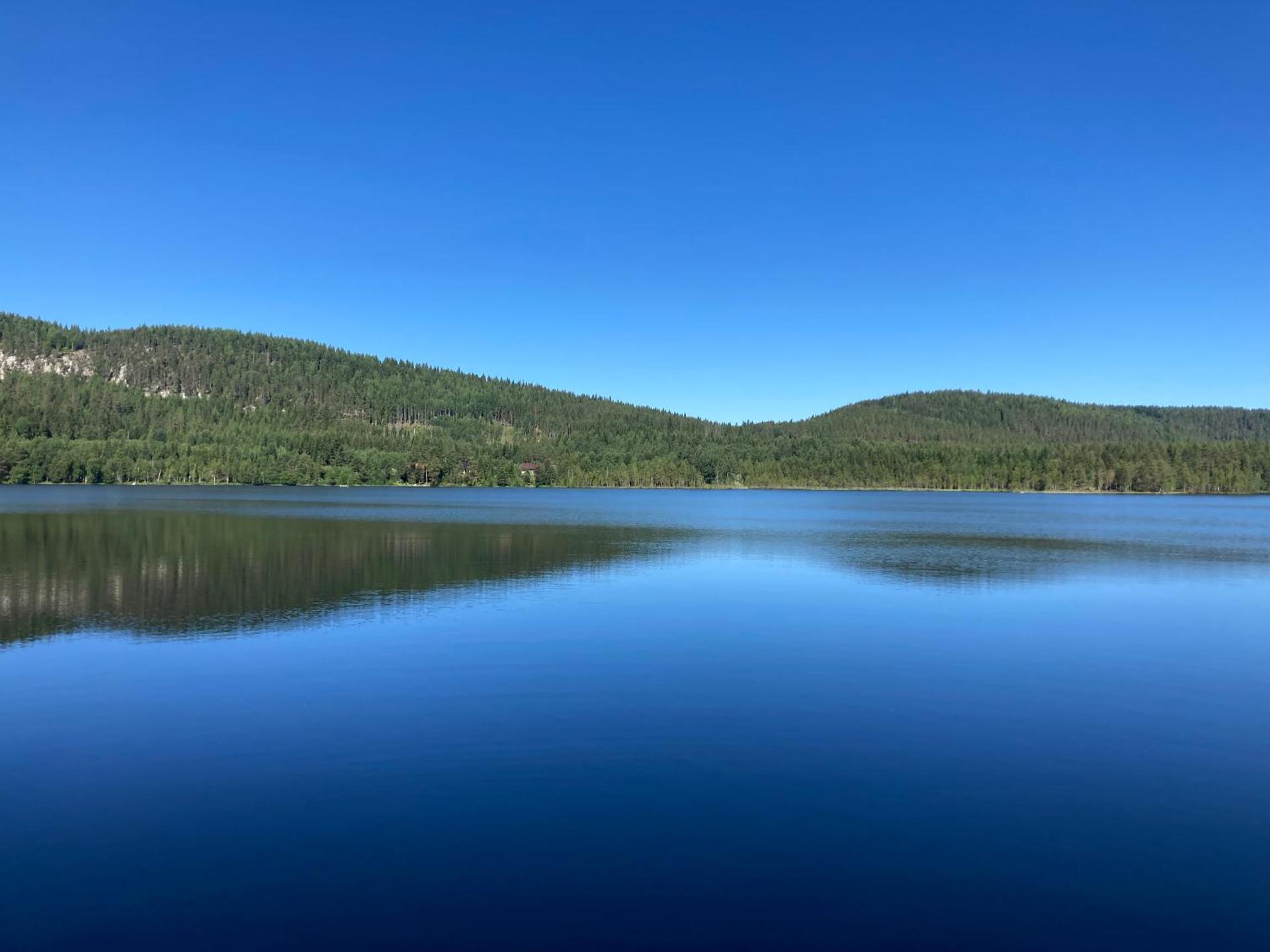 Koli country club basic 6