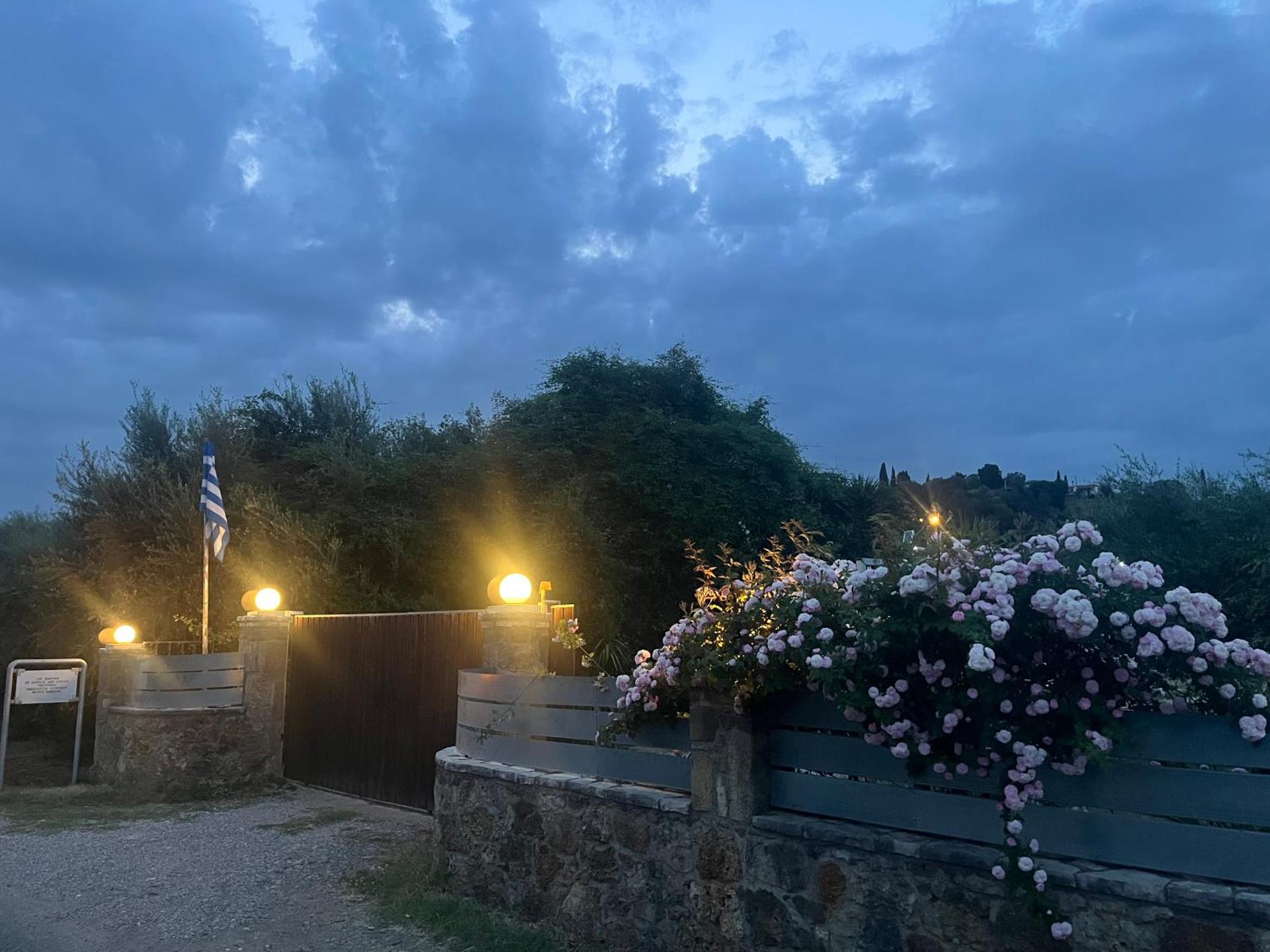 THE MANSION OF DIONISOS AND DIMITRAS 2