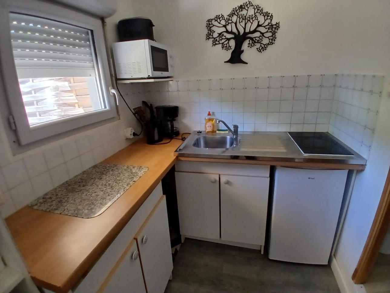 Havre Nature - le nid