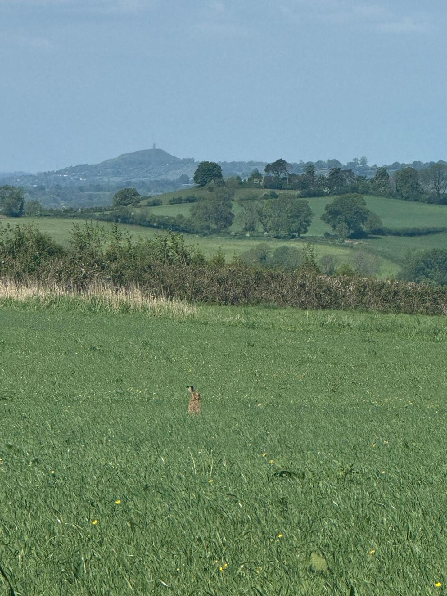 2 Guests Studio - Free Parking - Stunning Views