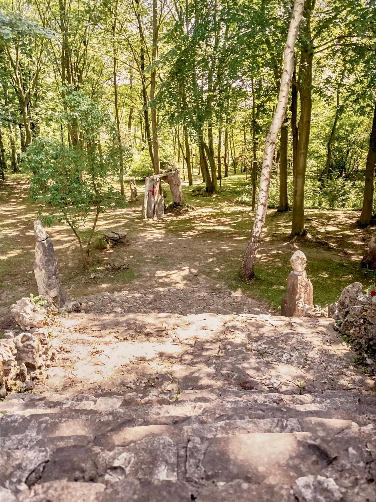 Les gîtes du Broukay - Alouette