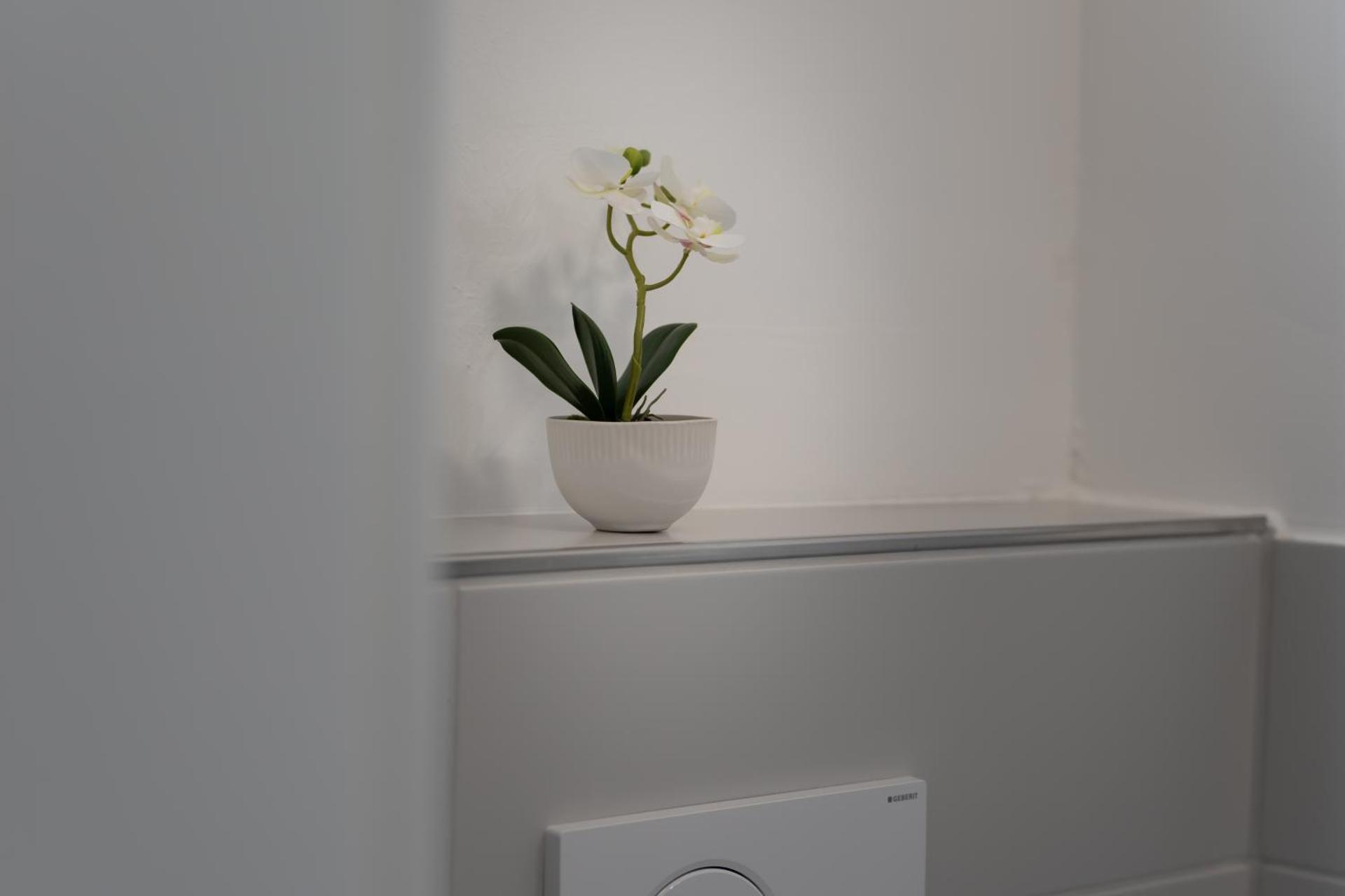 Lit Living - Deluxe Apartments - Box Spring - Parking - Neueröffnung - NEW OPENING