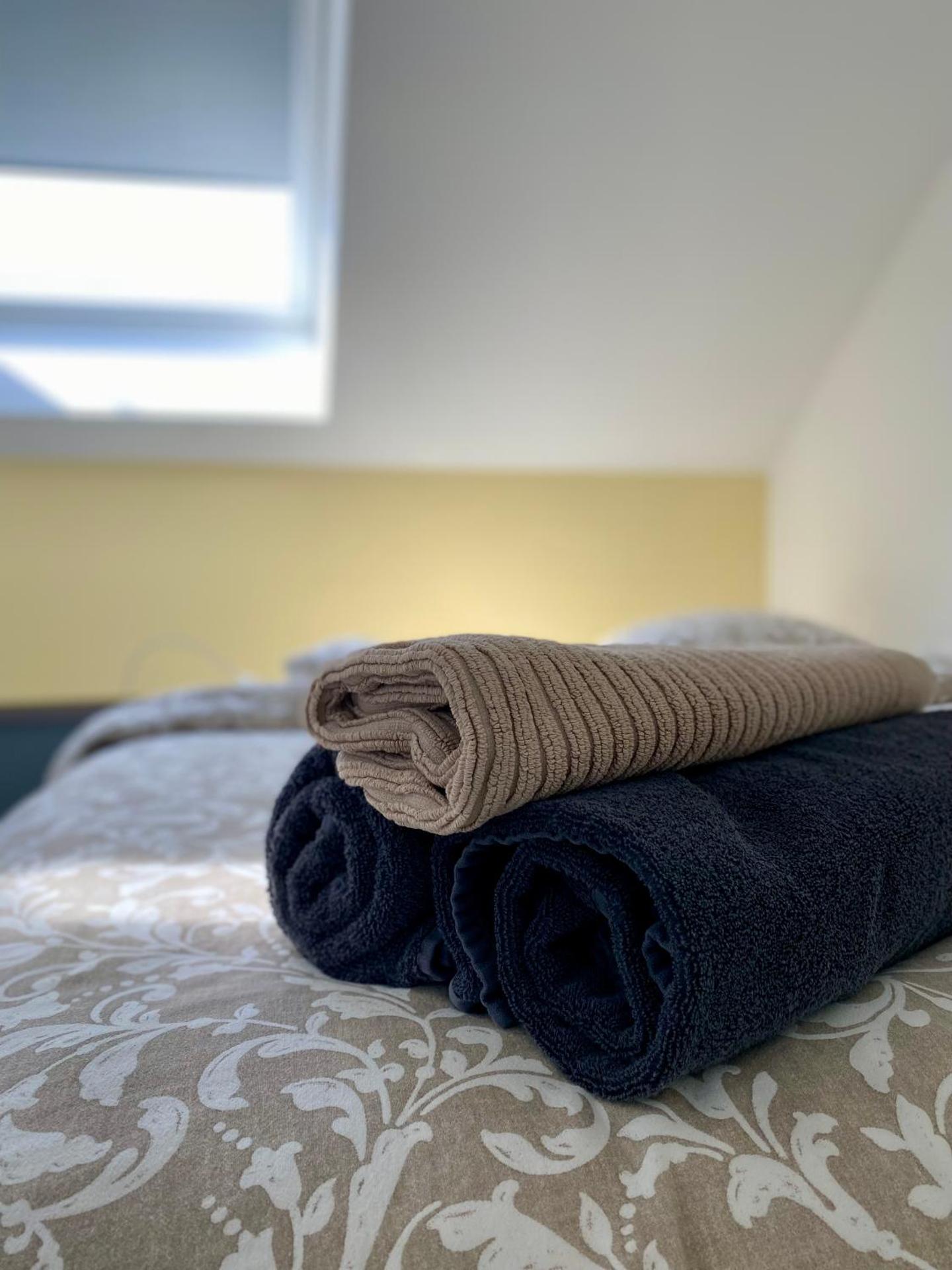 Les gîtes du Broukay - Hirondelle