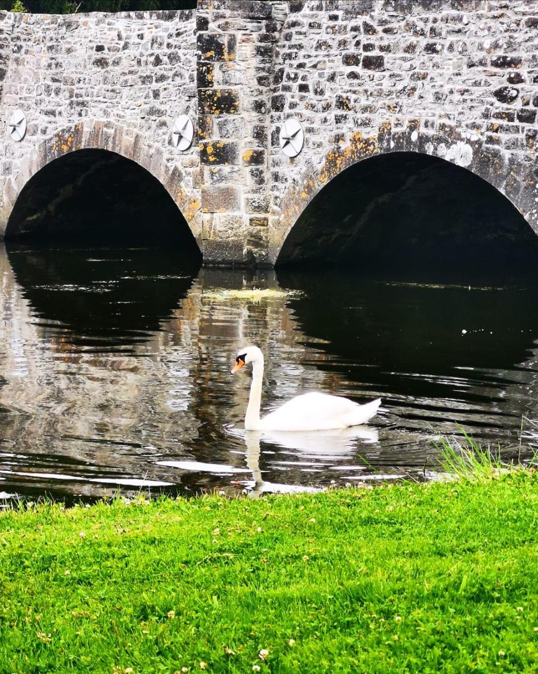 Westport Holiday Home