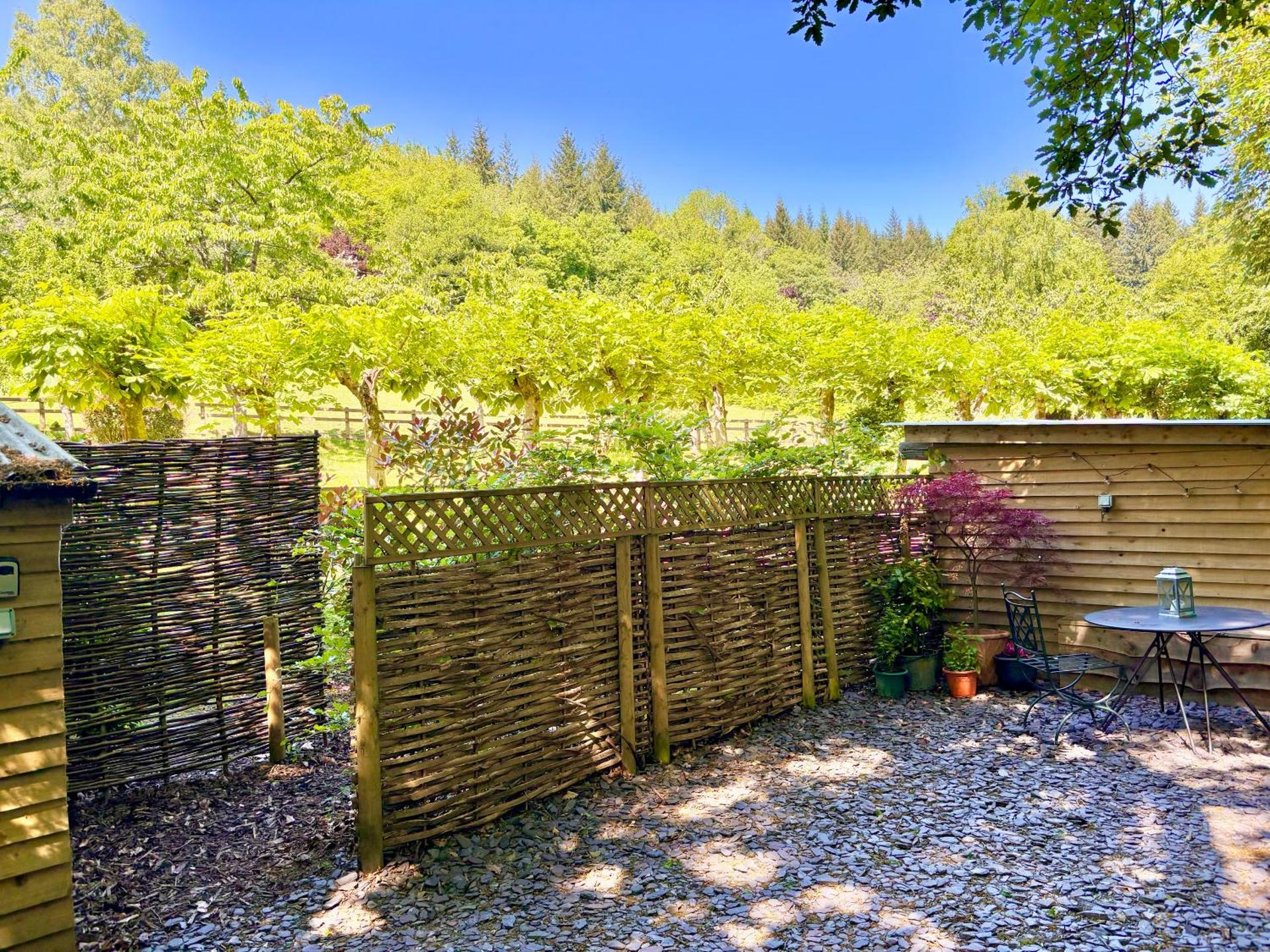 Shepherd’s delight