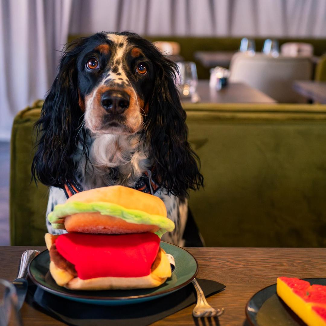 Hôtel Restaurant Vaillant proche Europapark