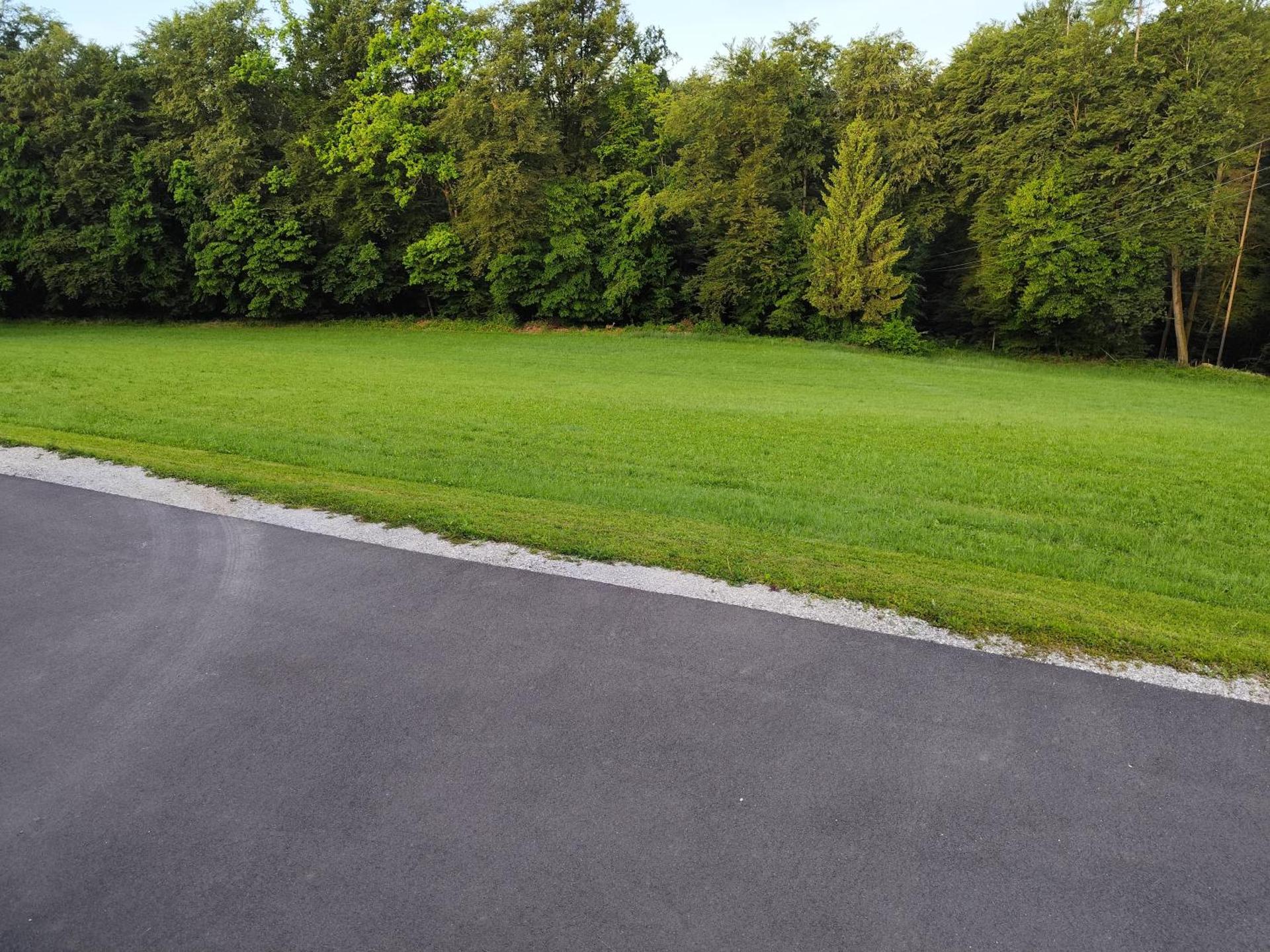 Dirnböck & Menneweger