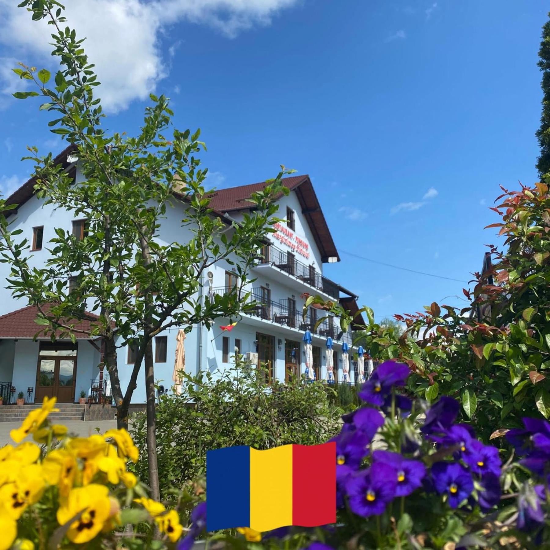 Pensiune Marginimea Sibiului