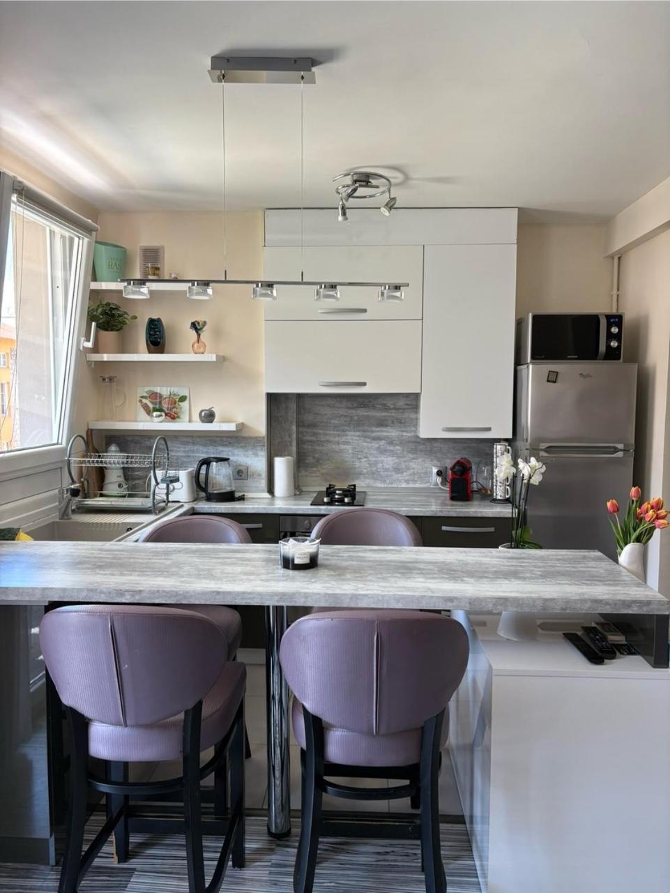 Elegant Apartment Terrace Port of Nice