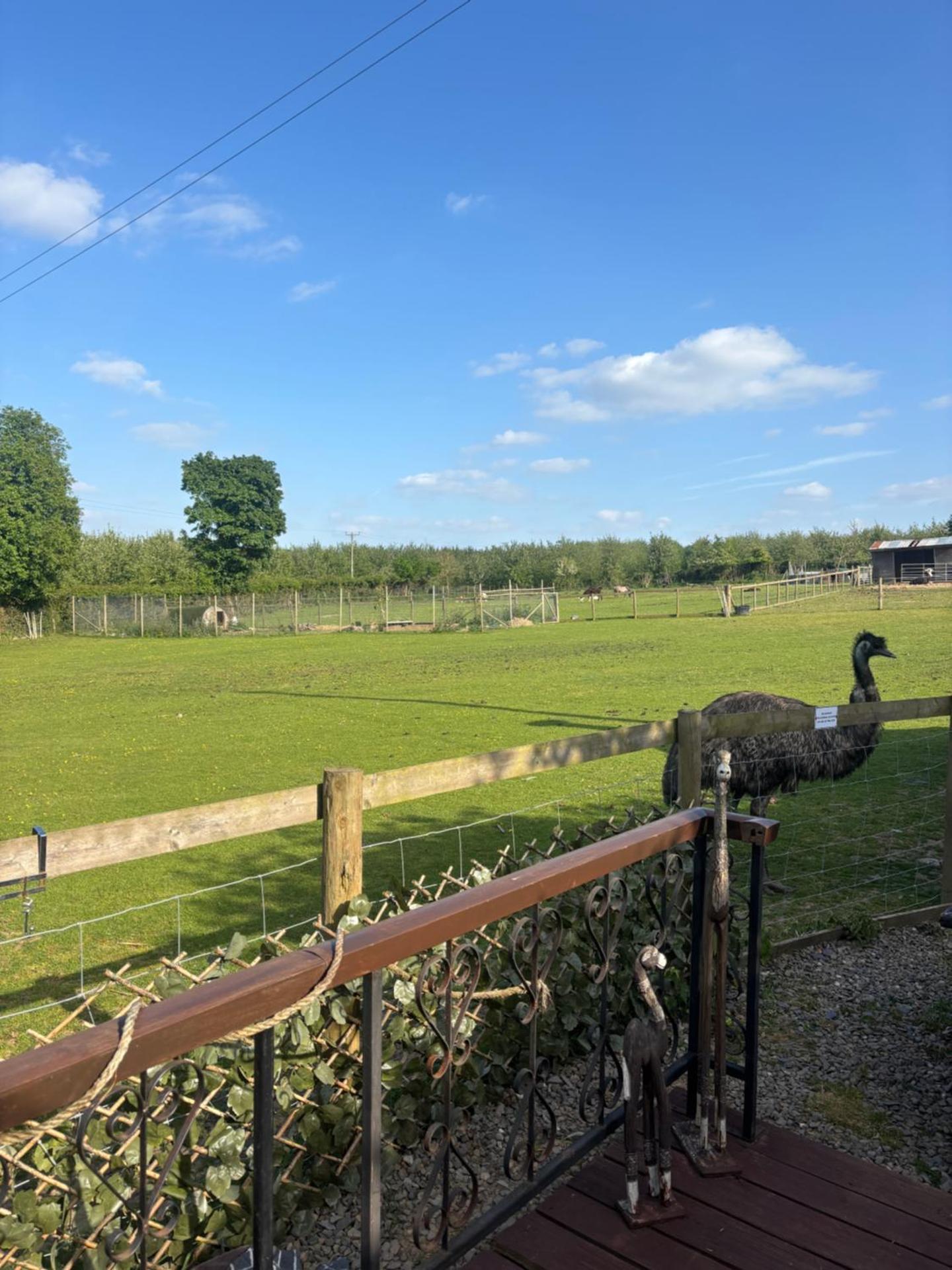 Bridie -rose with wood tub country retreat