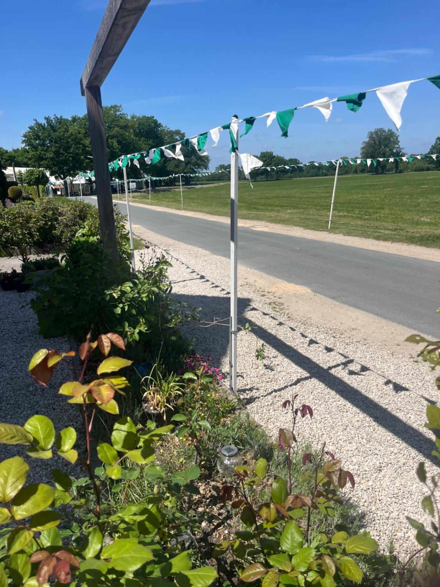 Ferienwohnung Waldseite