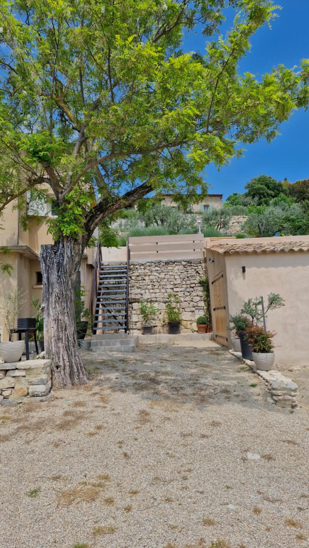 Le jardin des oliviers