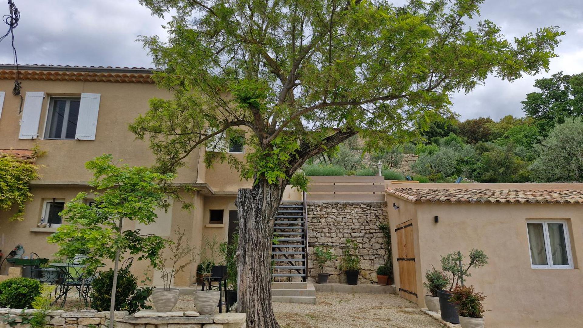 Le jardin des oliviers