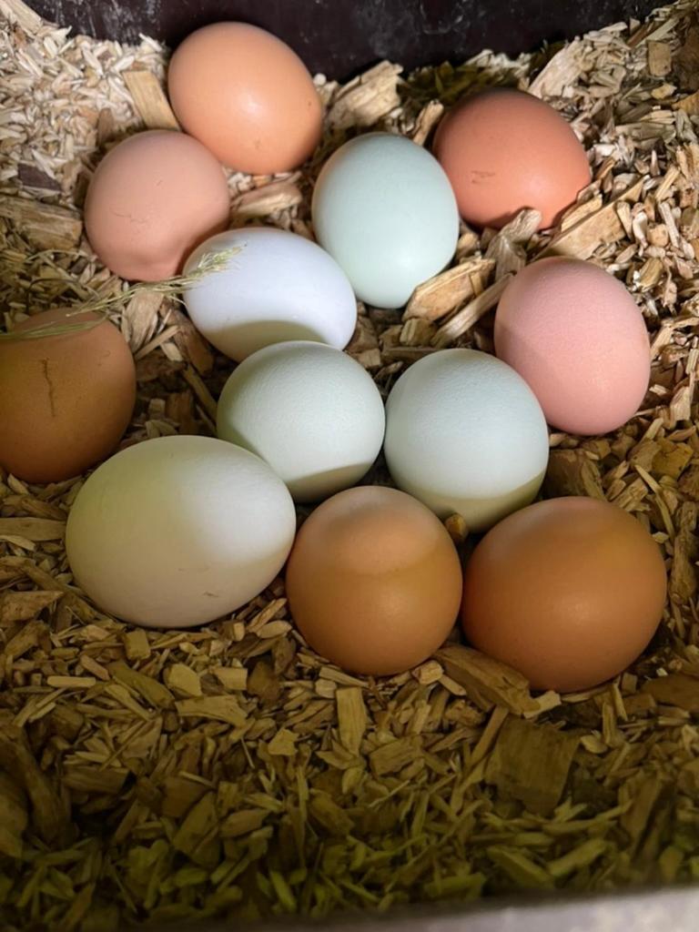 Landhaus Obere Säge