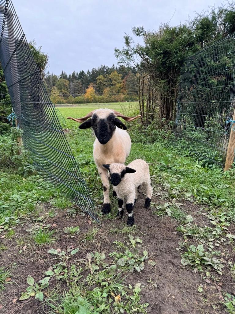Landhaus Obere Säge